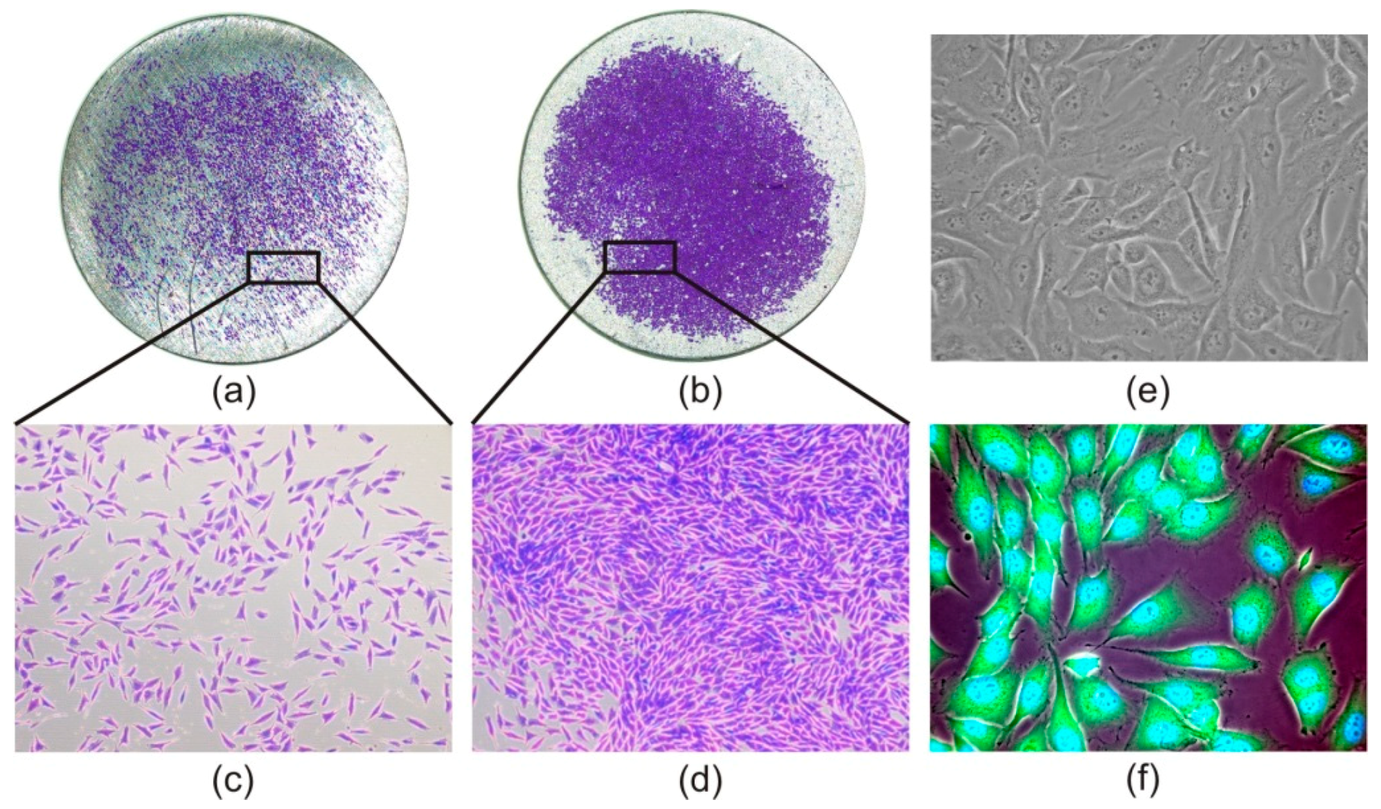 Materials 13 00697 g005