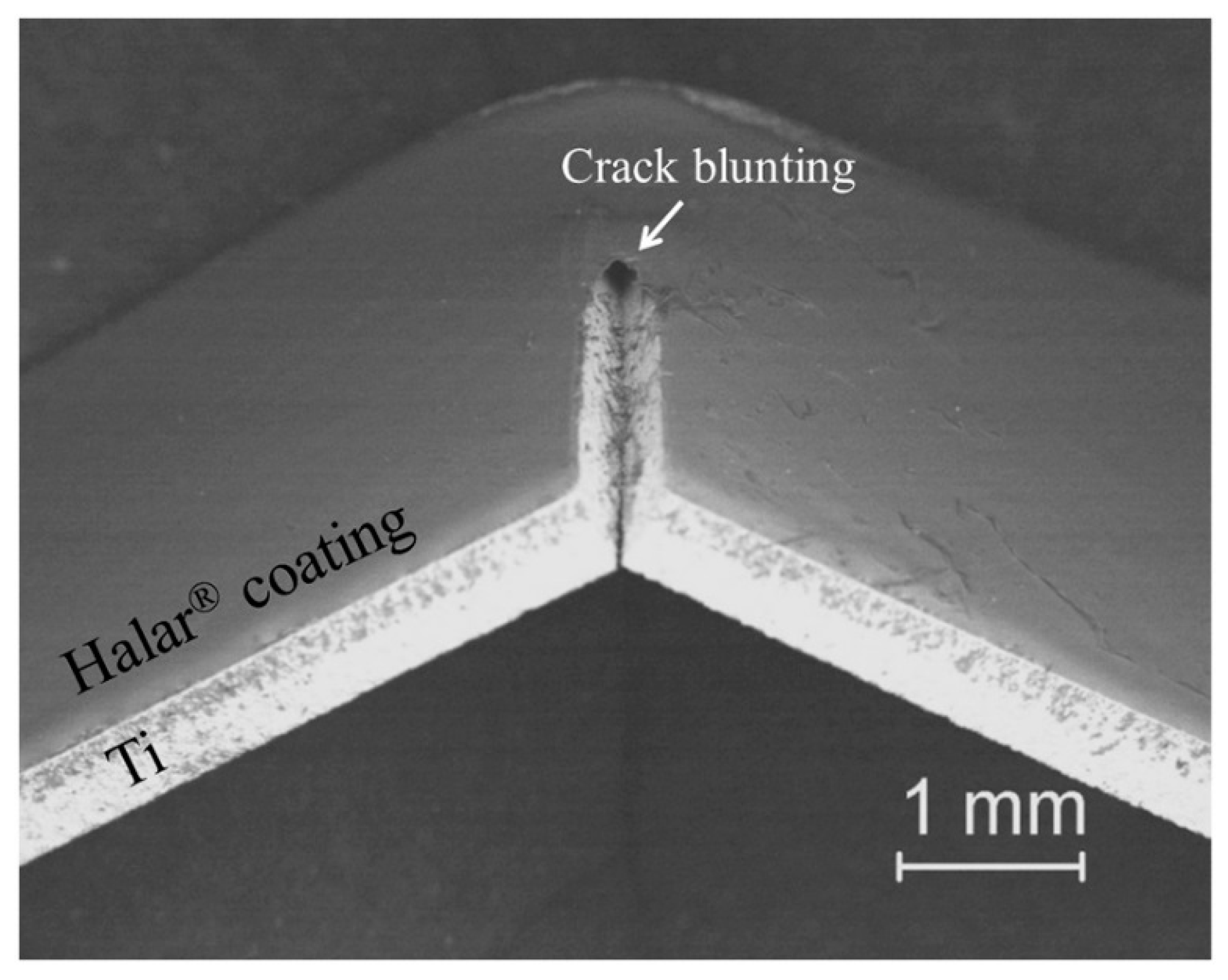 Materials 13 00705 g009