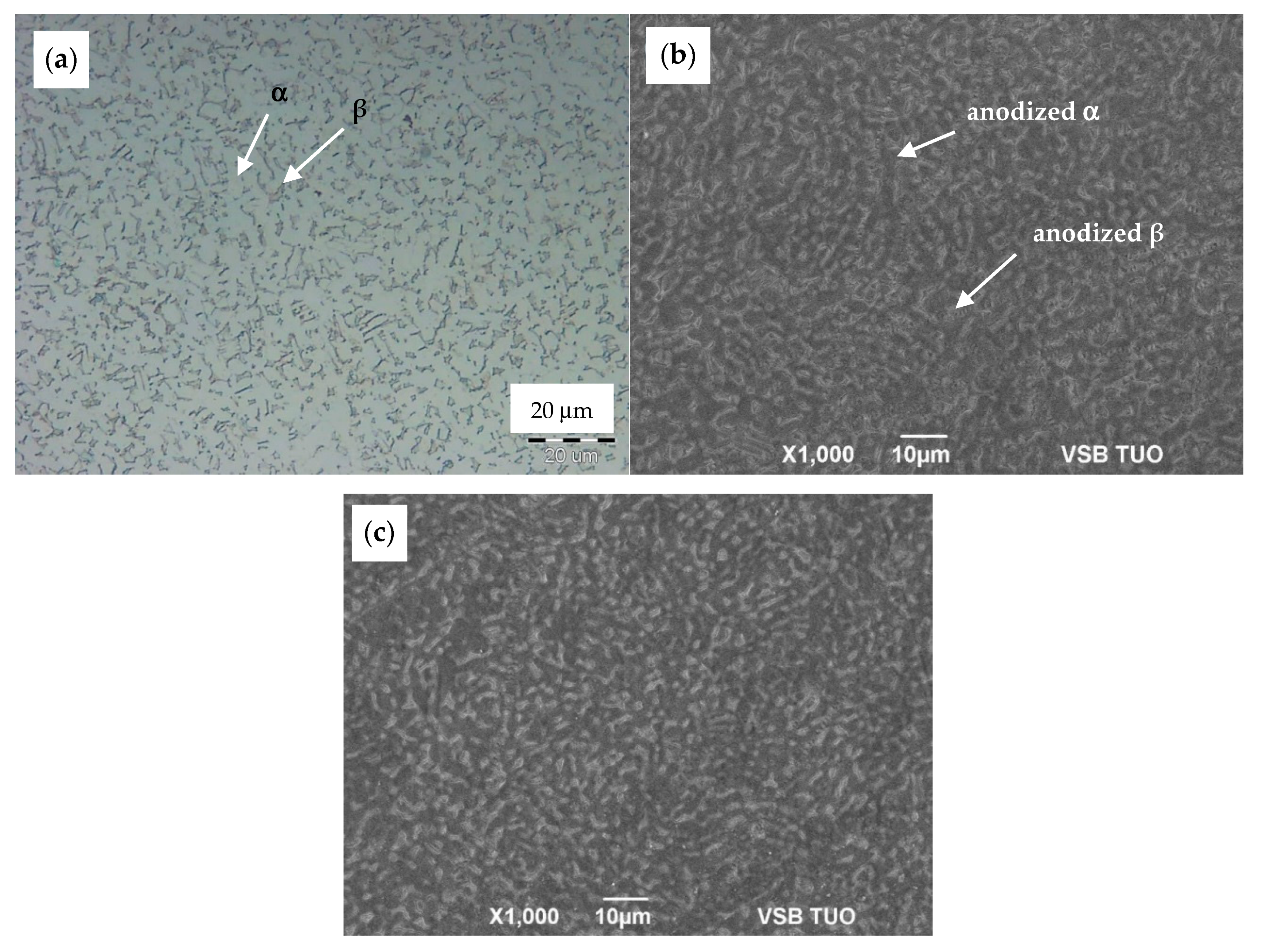 Materials 13 00708 g002