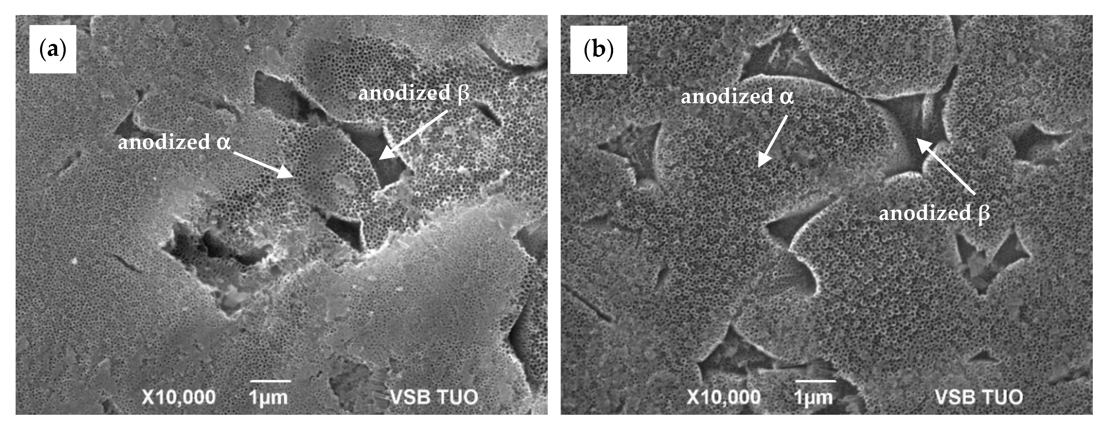 Materials 13 00708 g003