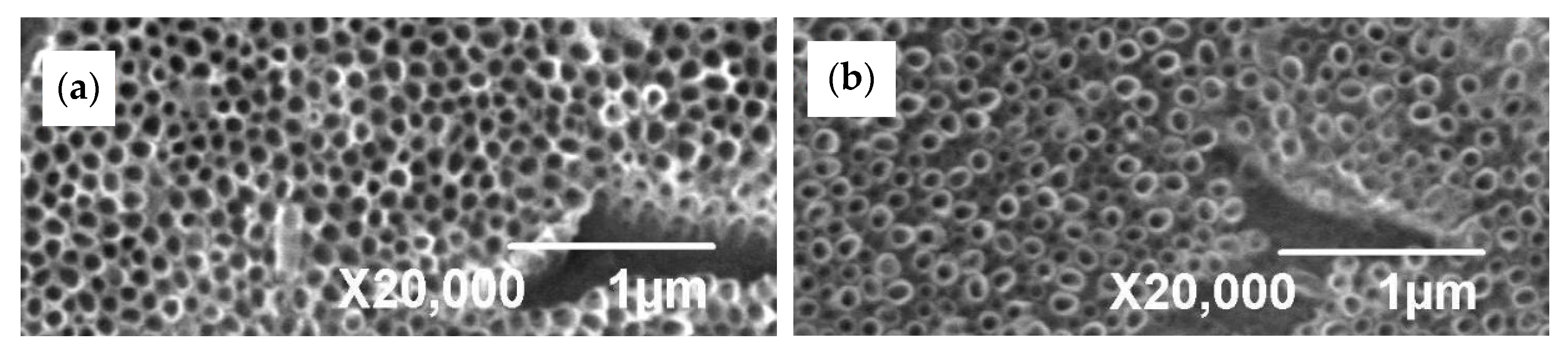 Materials 13 00708 g004