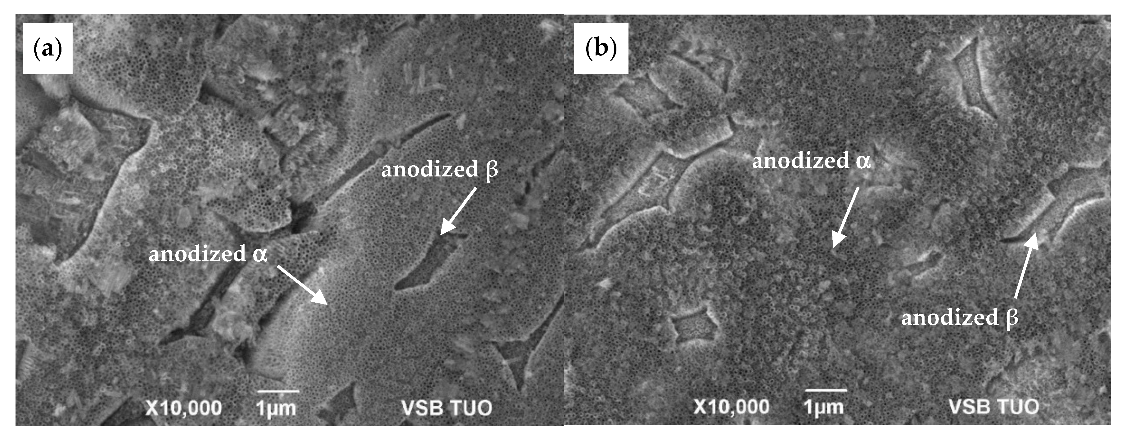 Materials 13 00708 g005