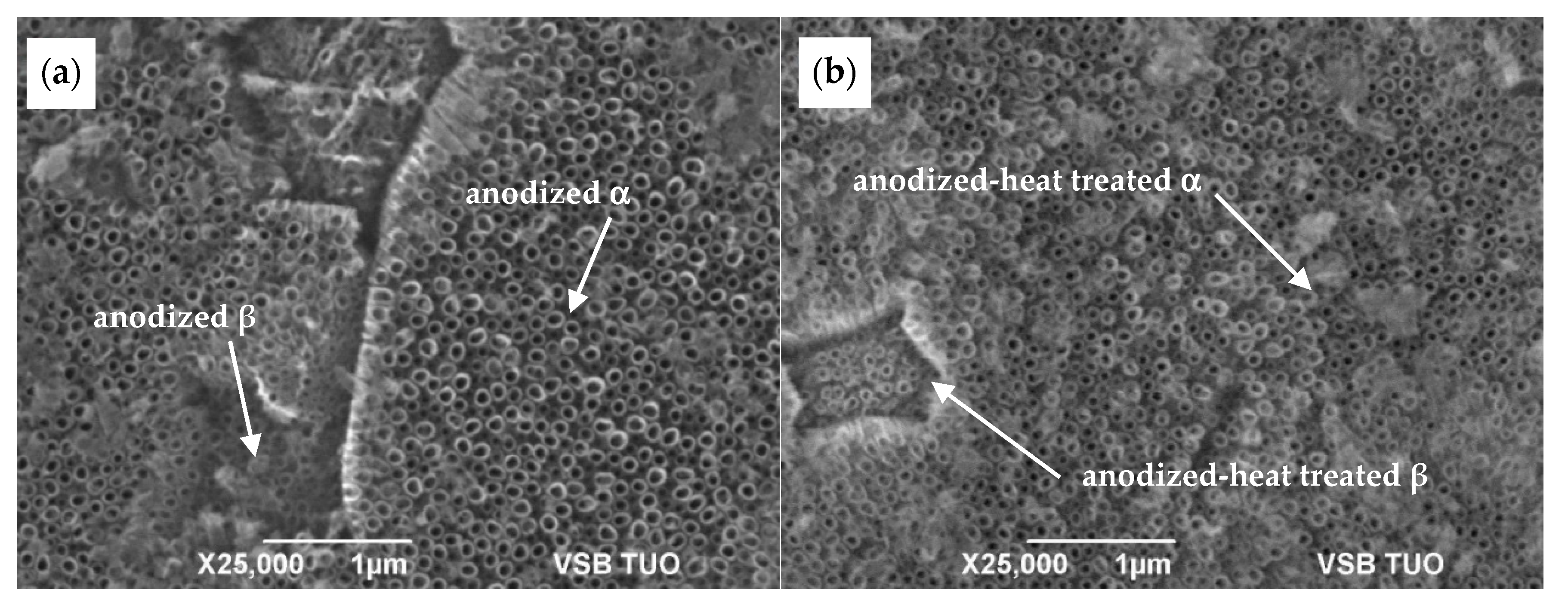 Materials 13 00708 g006