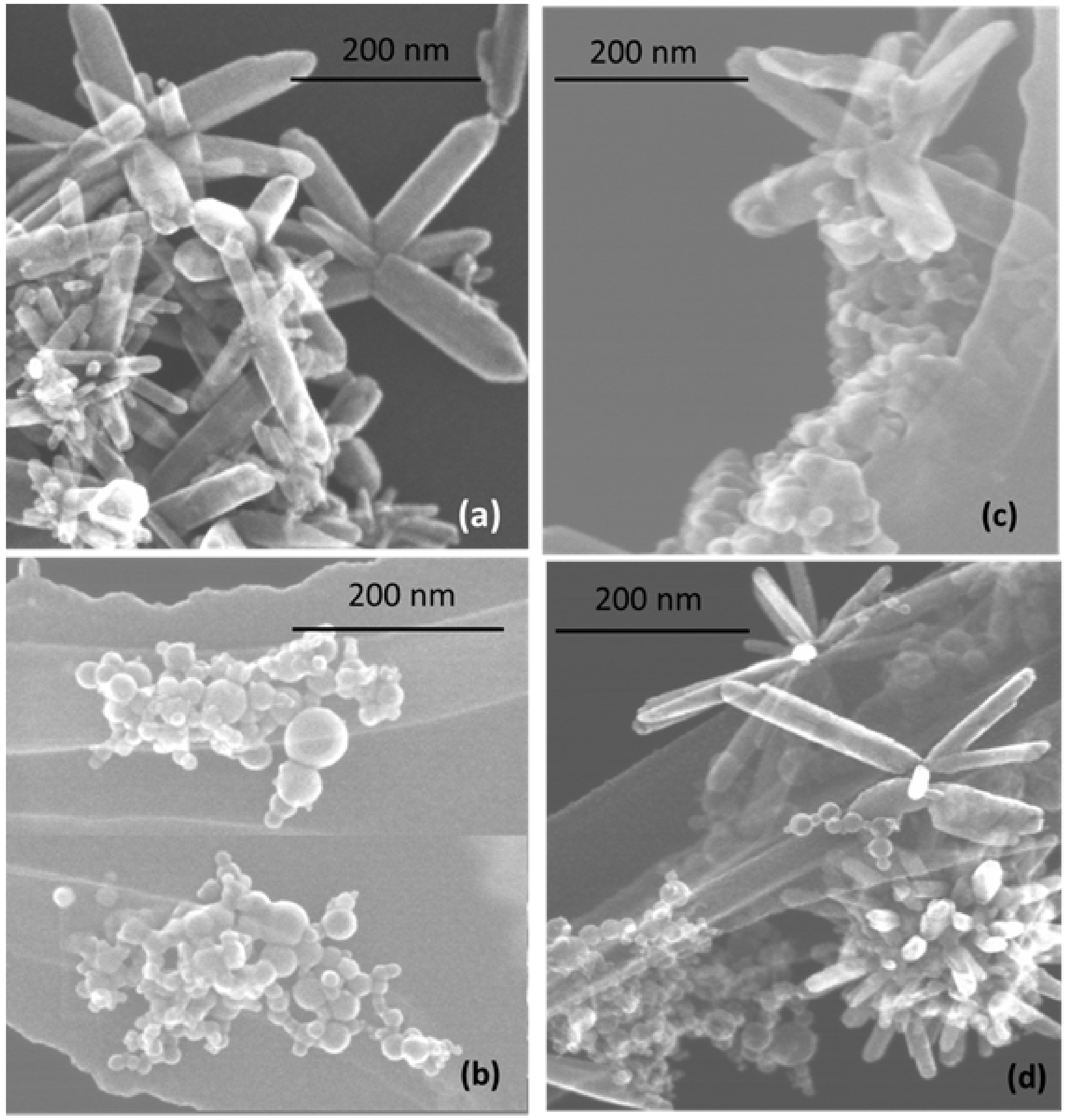 Materials 13 00719 g002