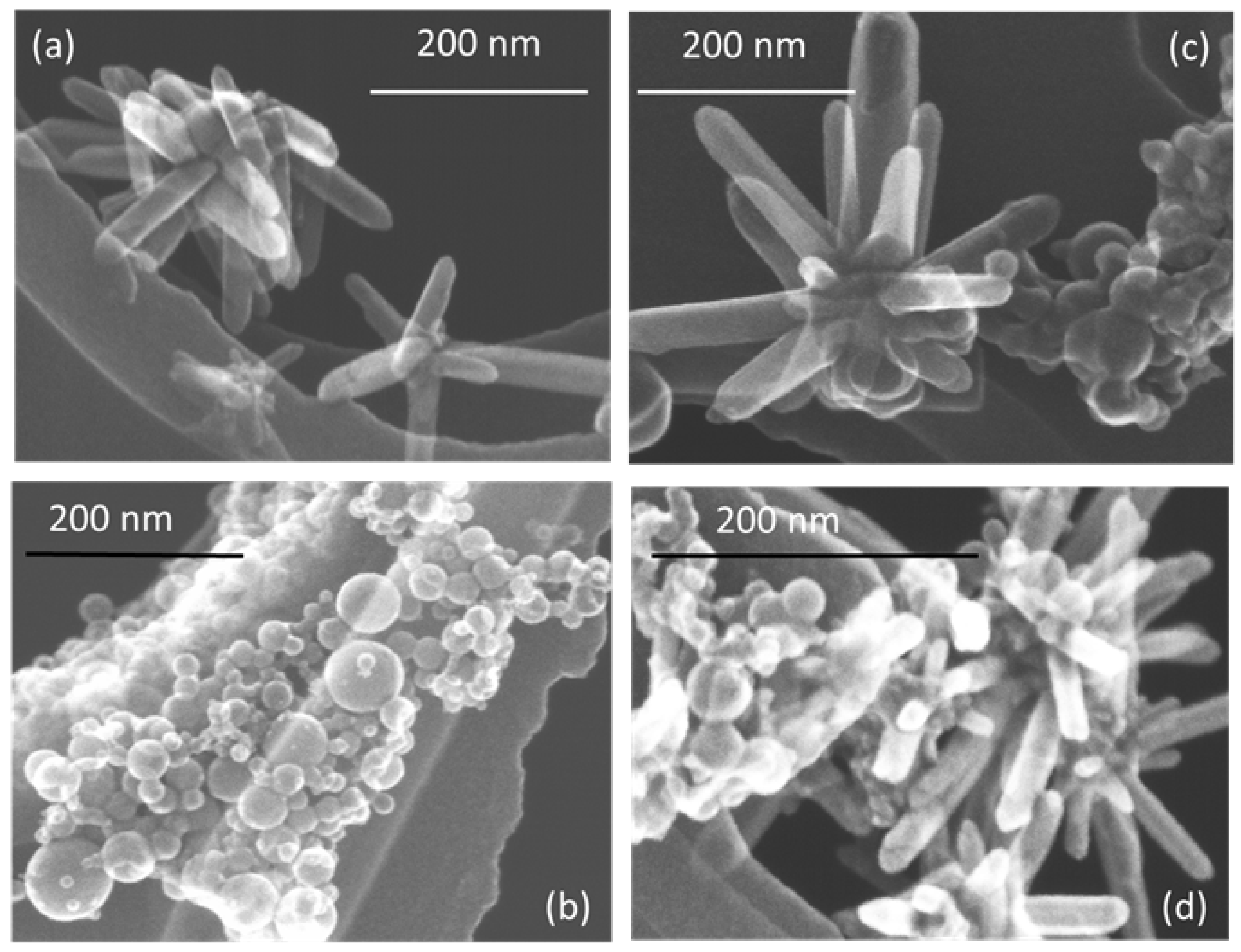 Materials 13 00719 g003