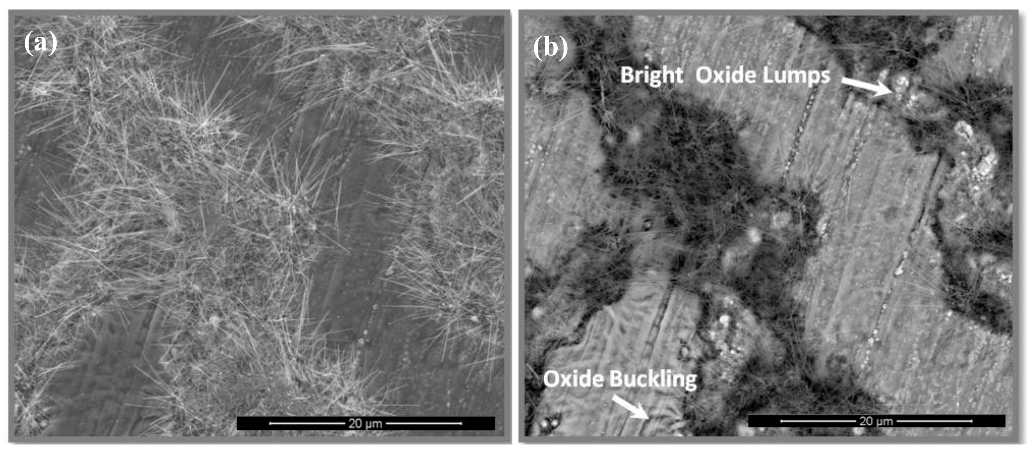 Materials 13 00722 g005a