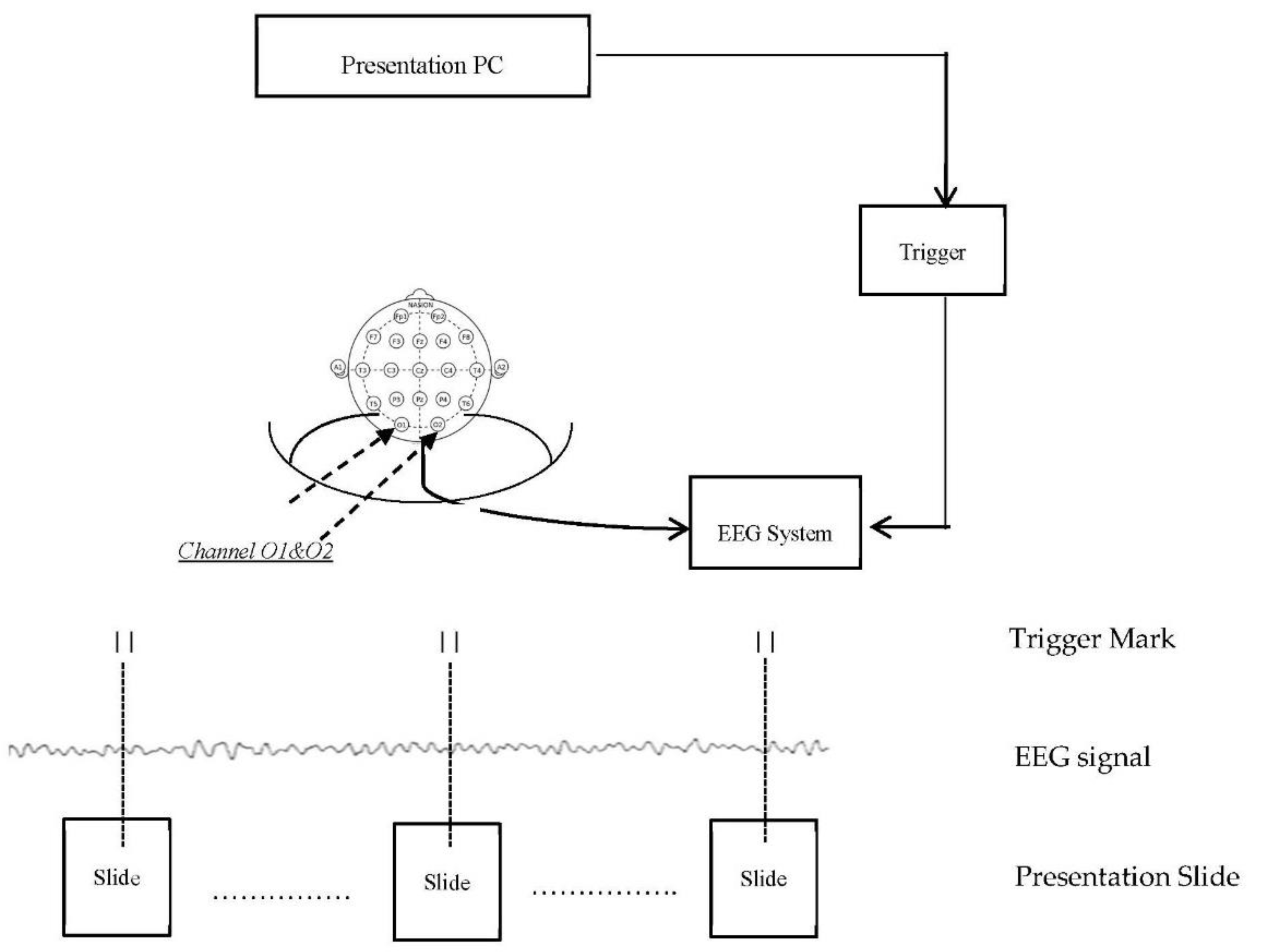 Materials 13 00725 g008