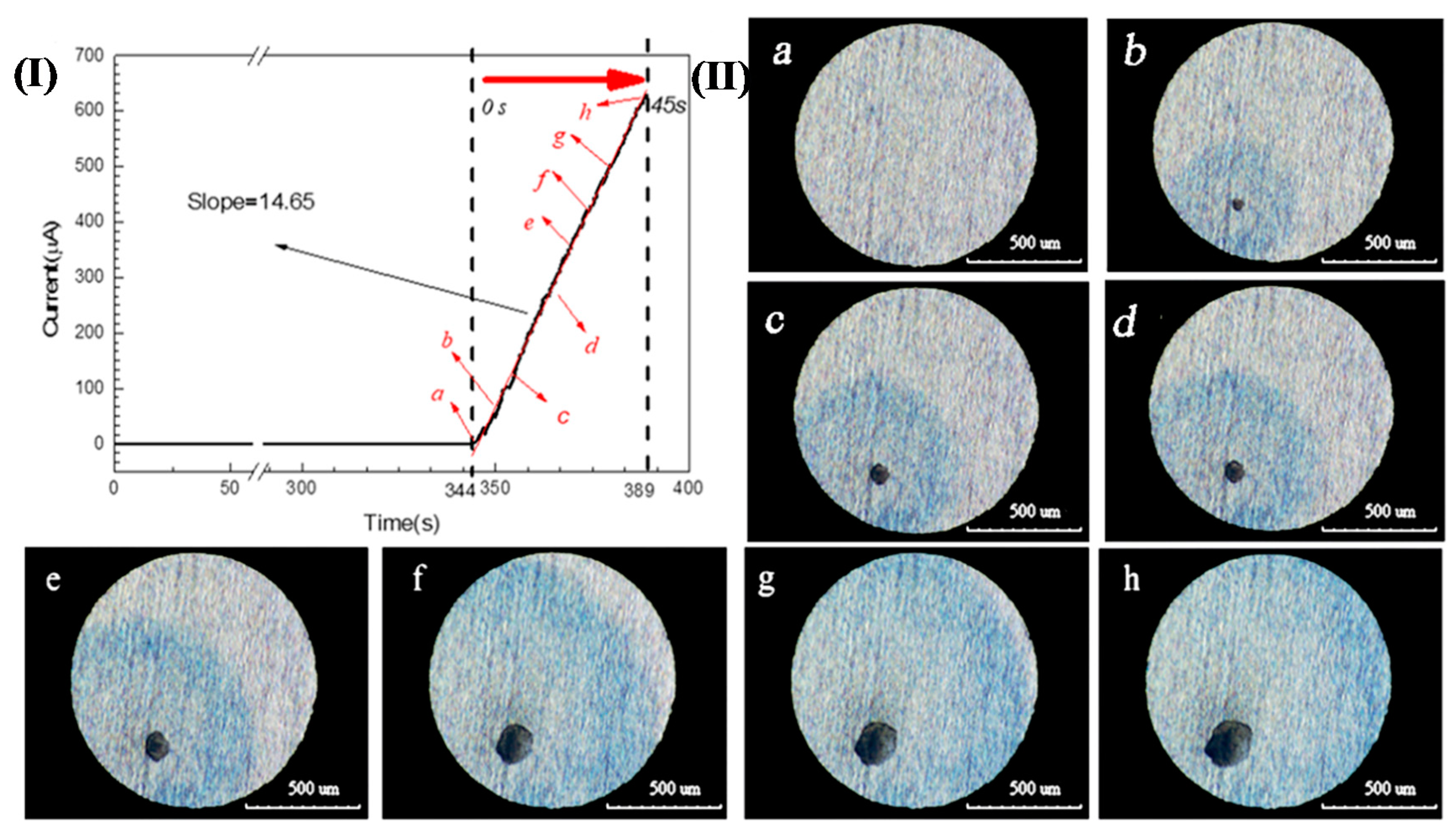 Materials 13 00726 g002
