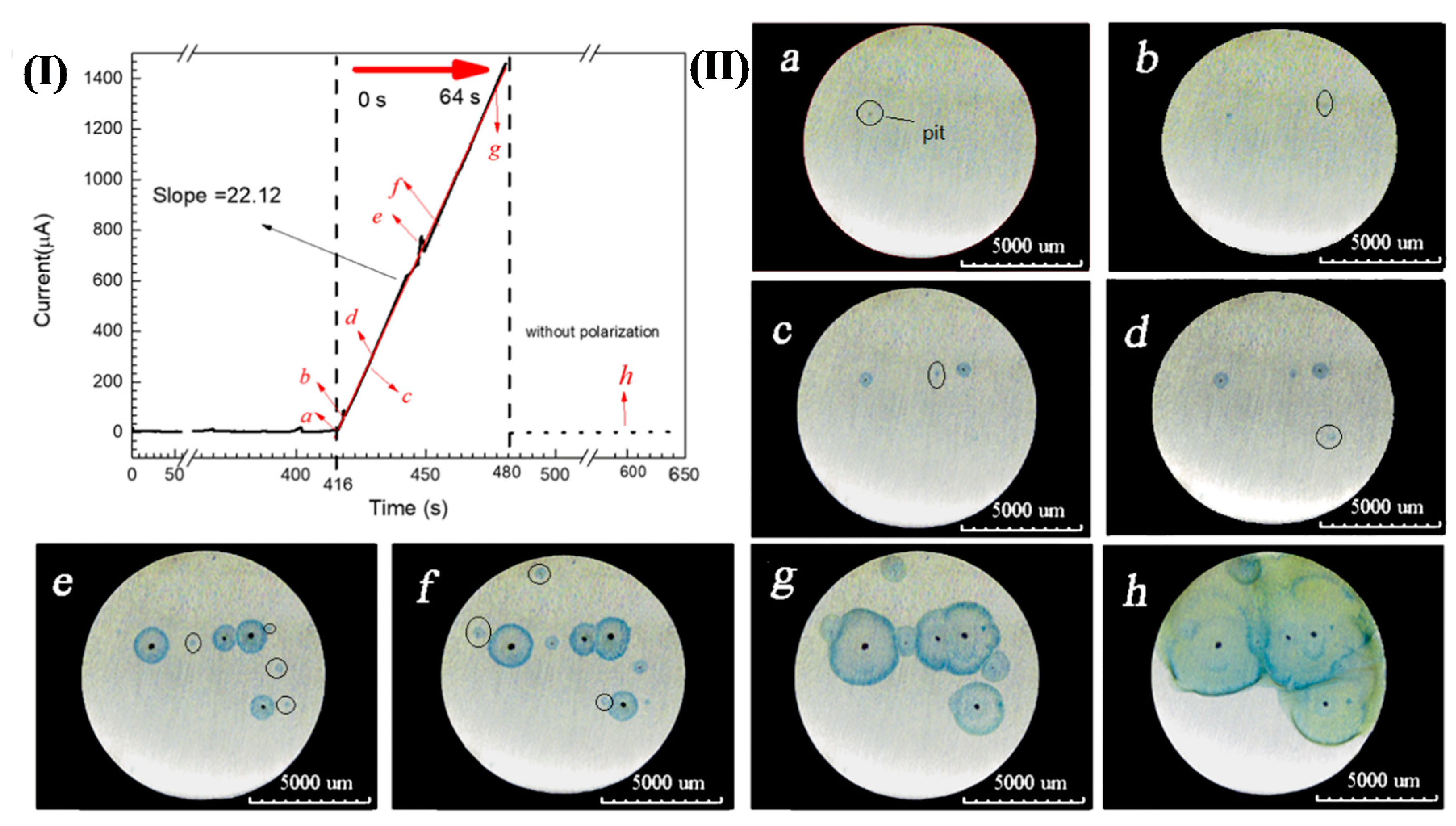 Materials 13 00726 g003