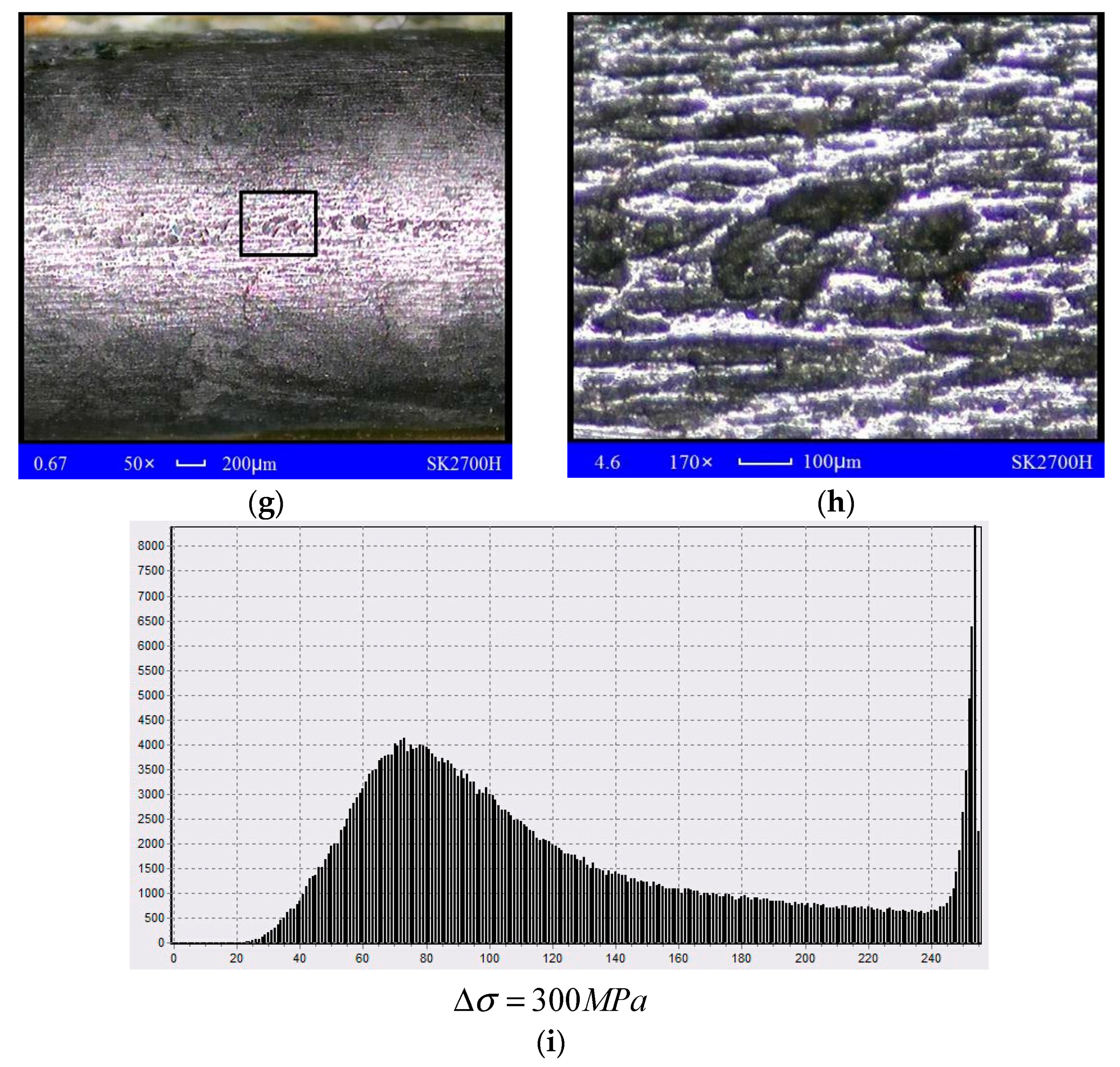Materials 13 00736 g005b
