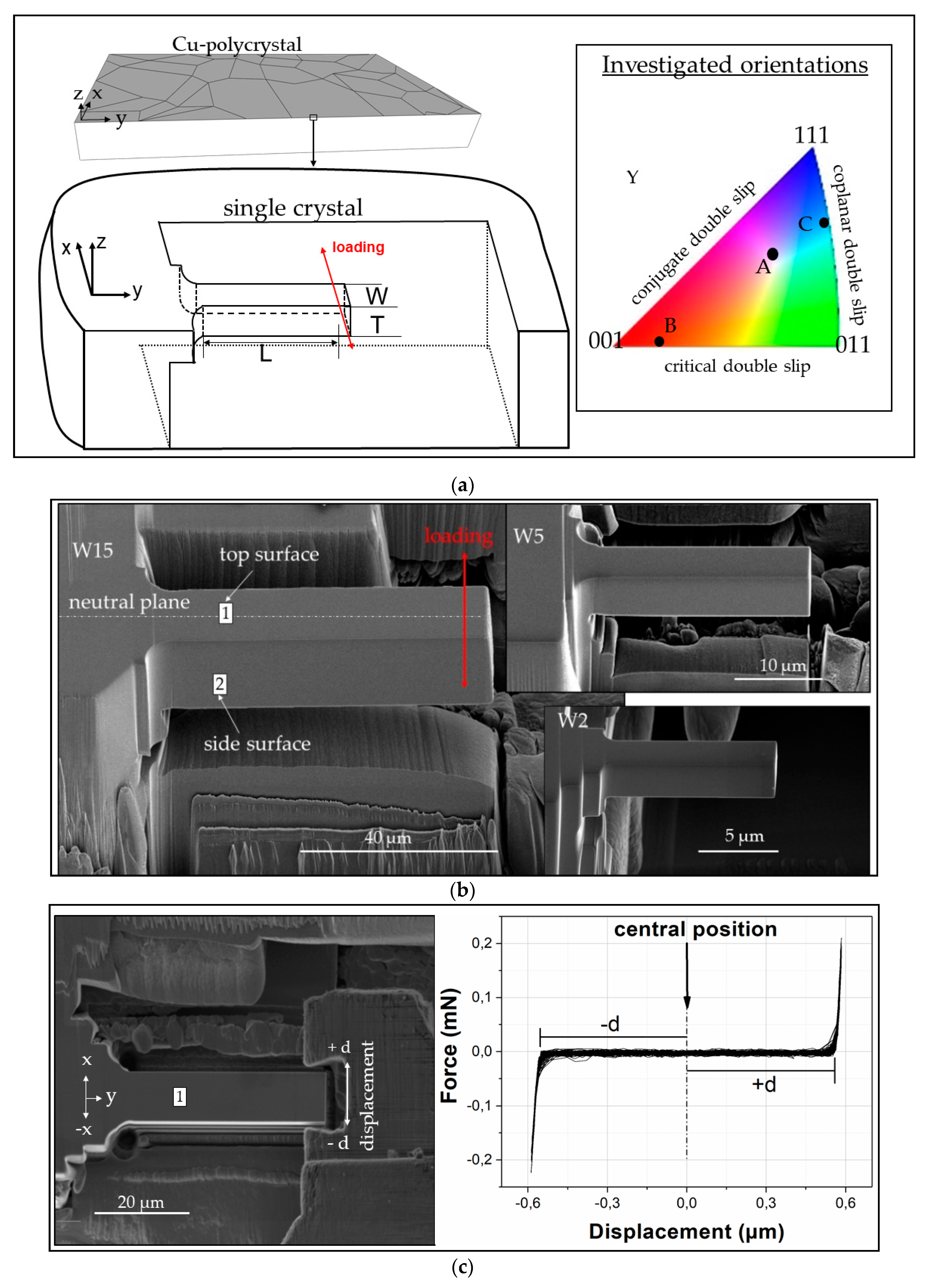 Materials 13 00741 g001