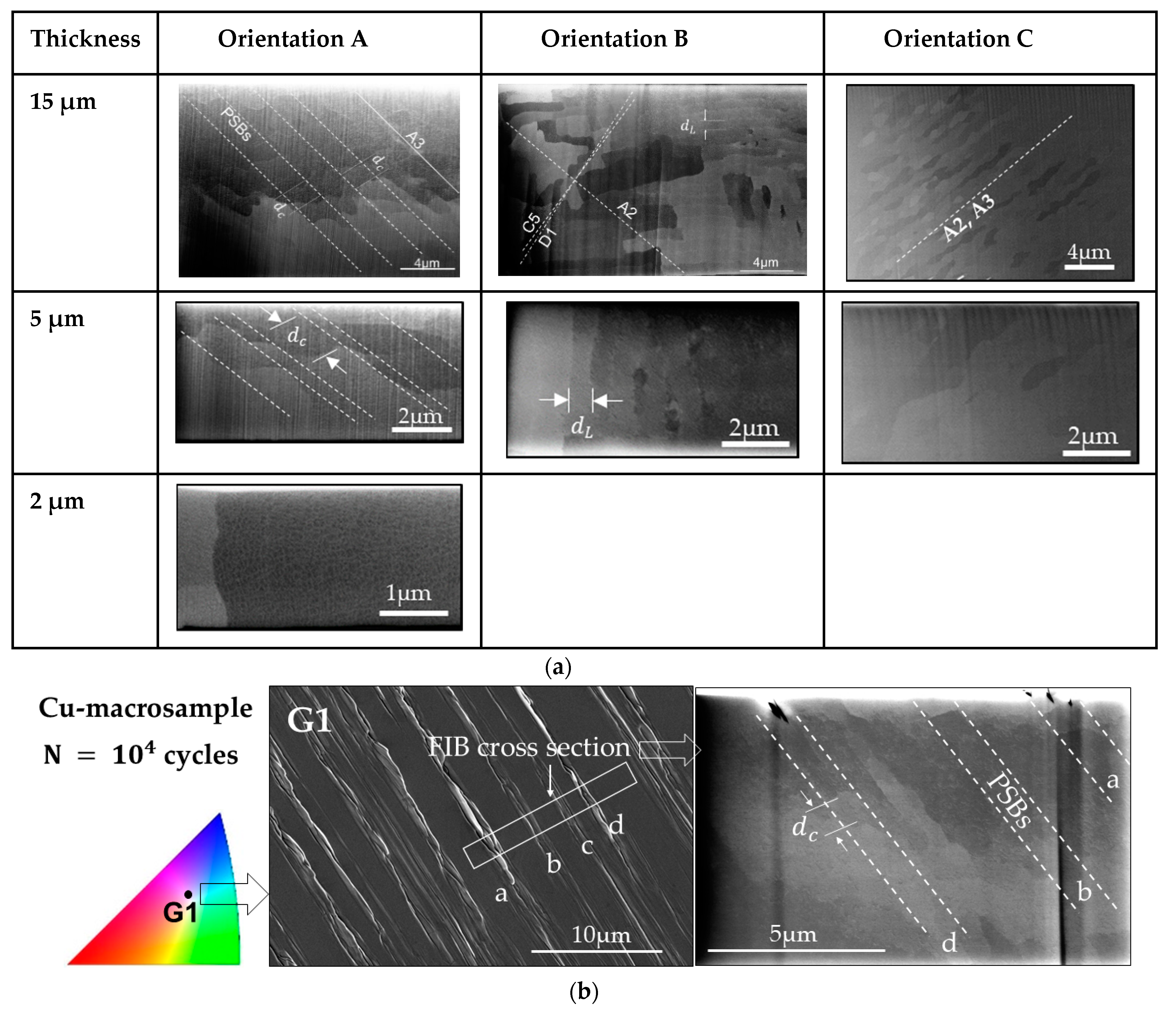 Materials 13 00741 g007