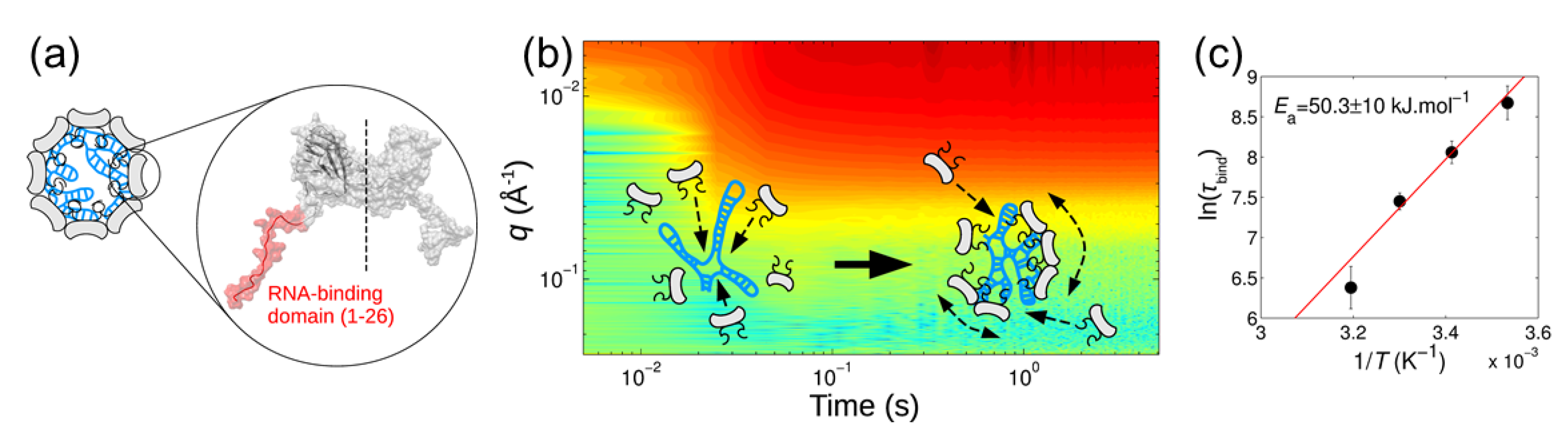Materials 13 00752 g009