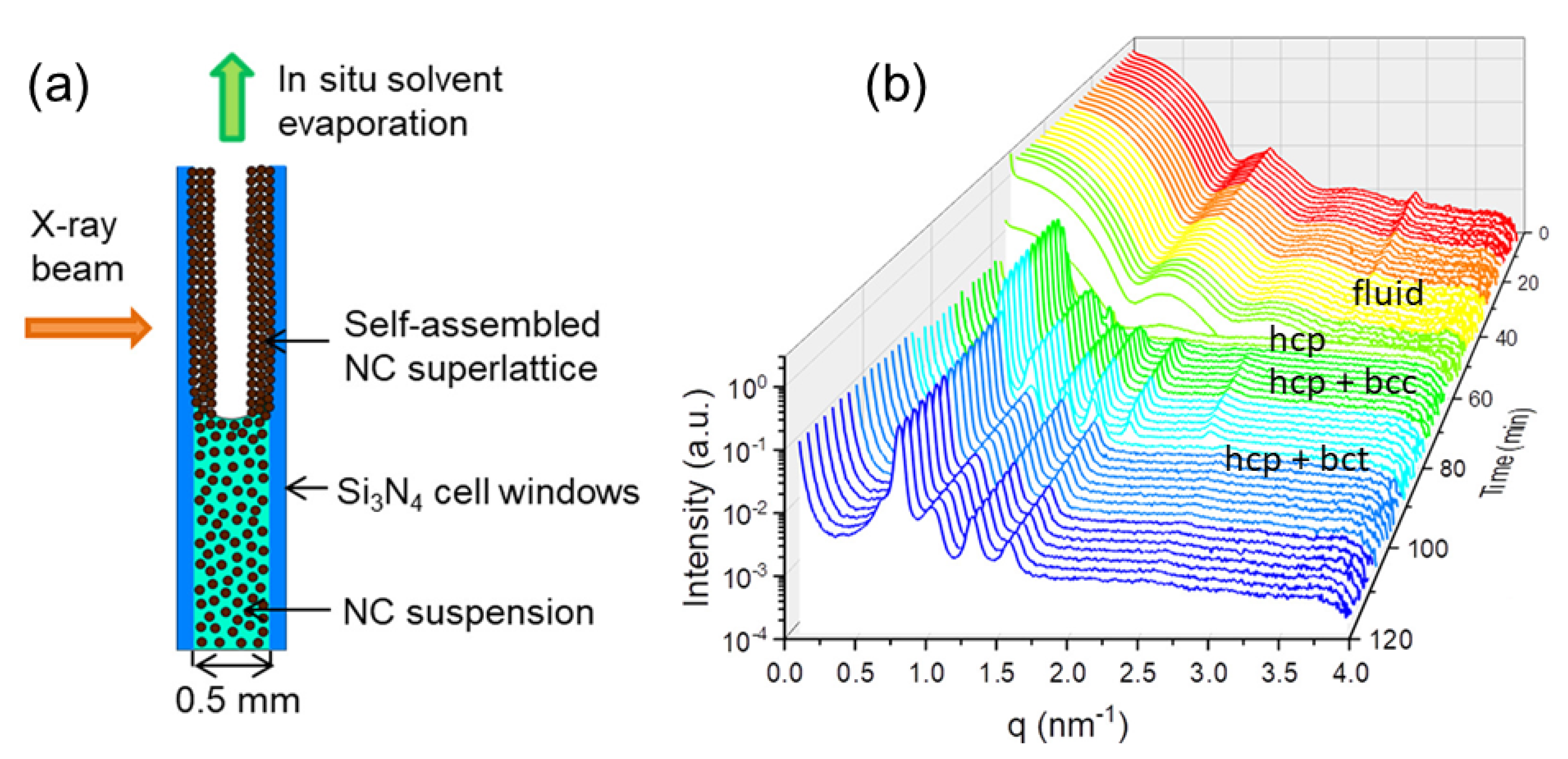 Materials 13 00752 g011