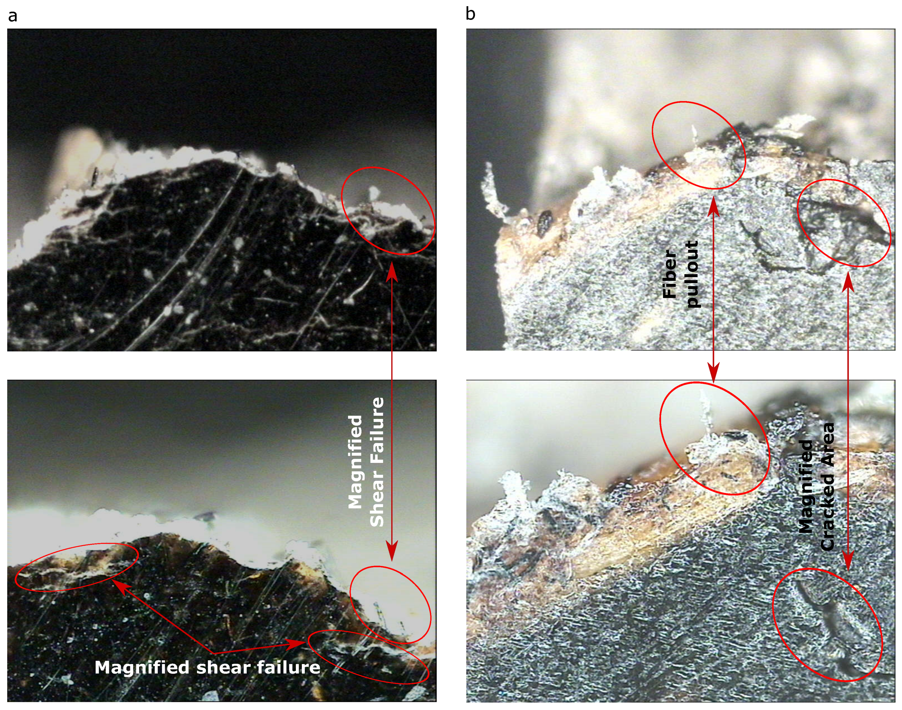 Materials 13 00753 g011