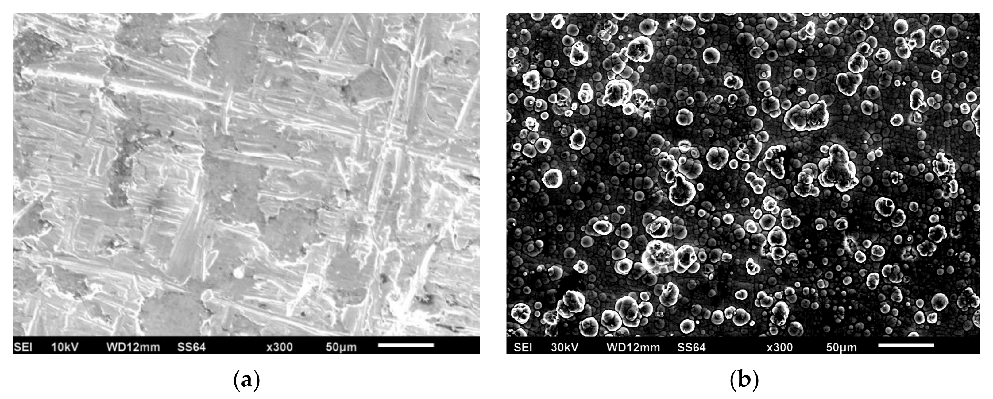 Materials 13 00764 g003a Materials 13 00764 g003a