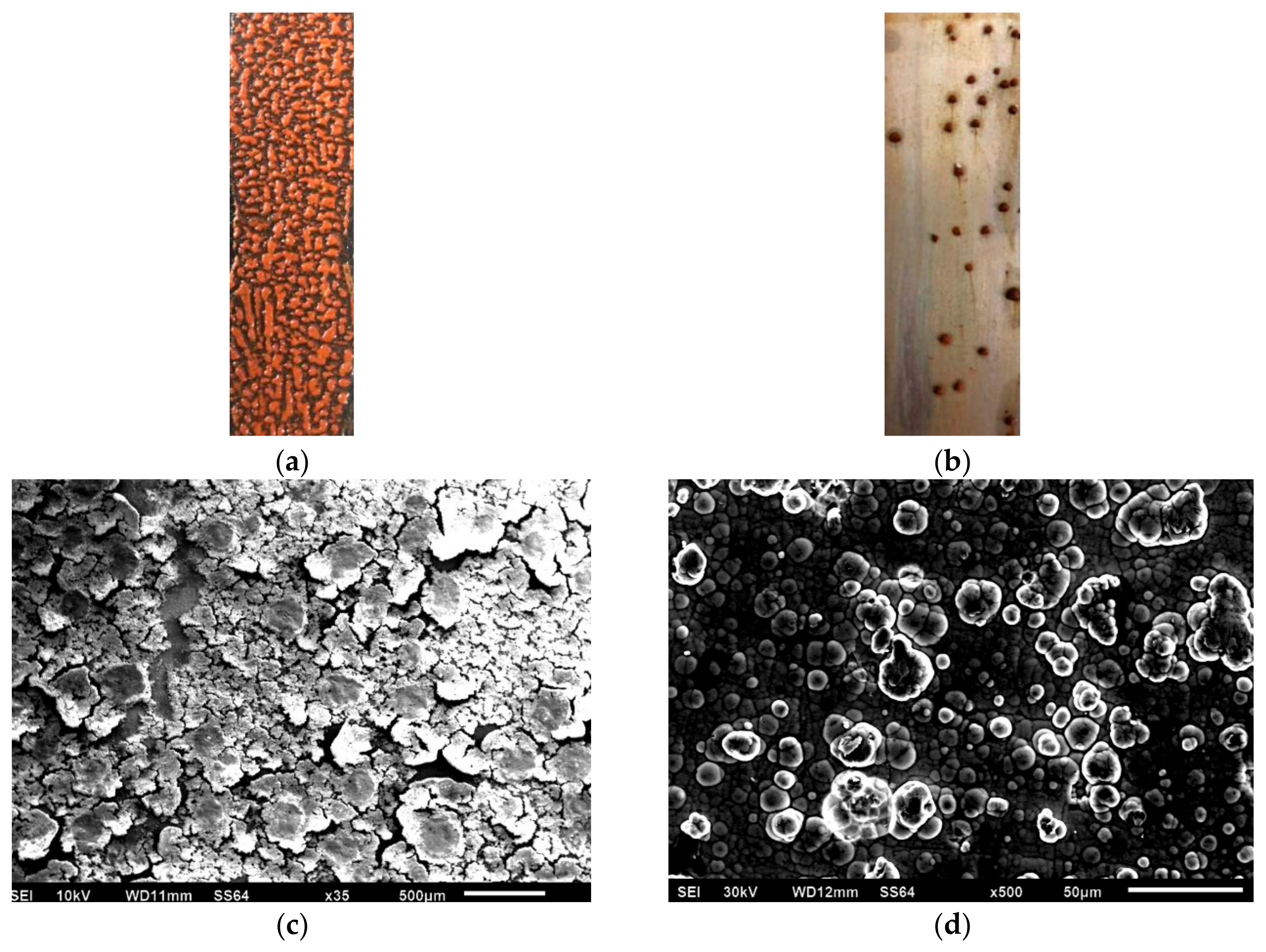 Materials 13 00764 g006 Materials 13 00764 g006