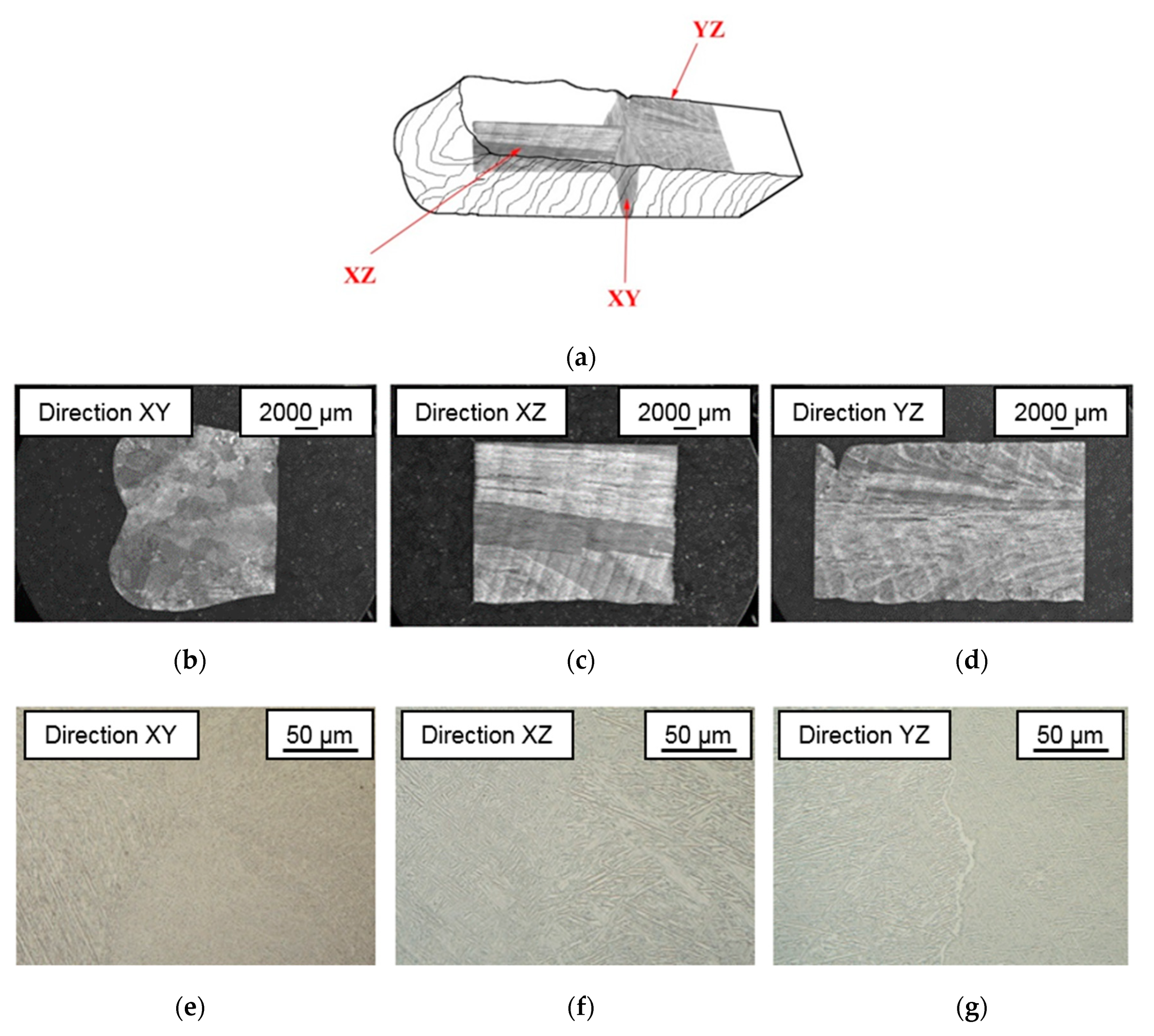Materials 13 00766 g006 Materials 13 00766 g006