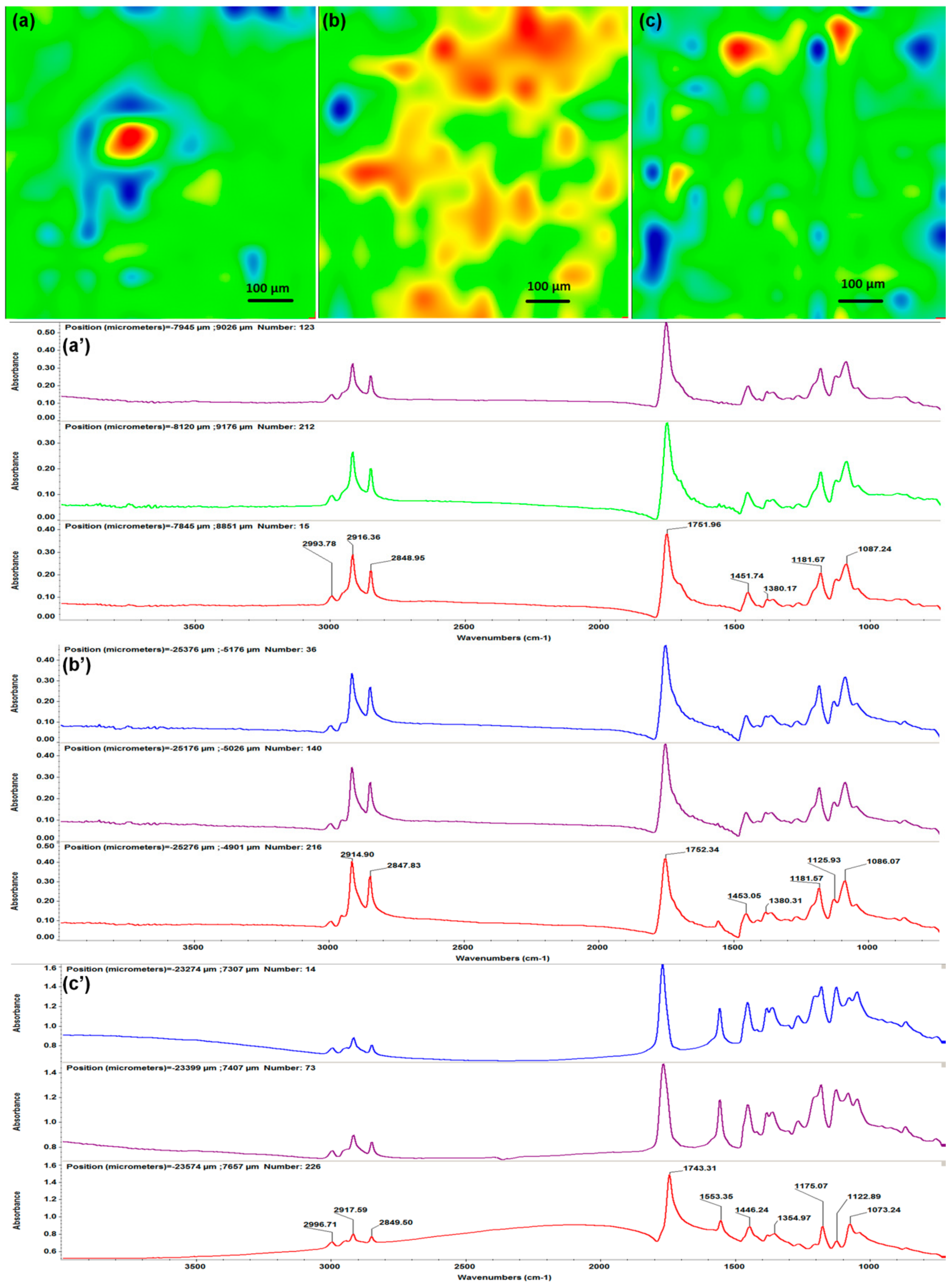 Materials 13 00768 g004