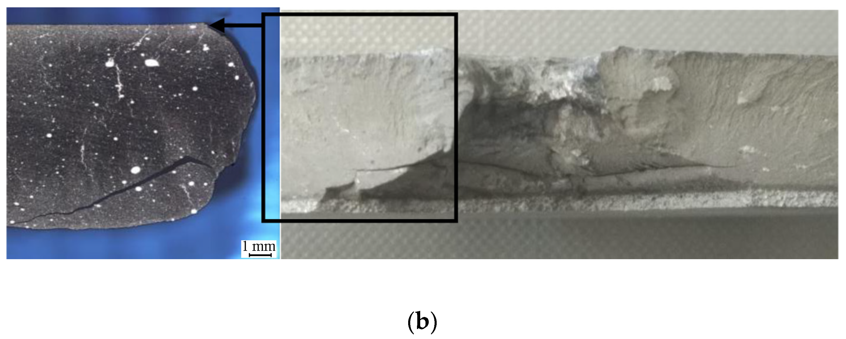 Materials 13 00769 g010b