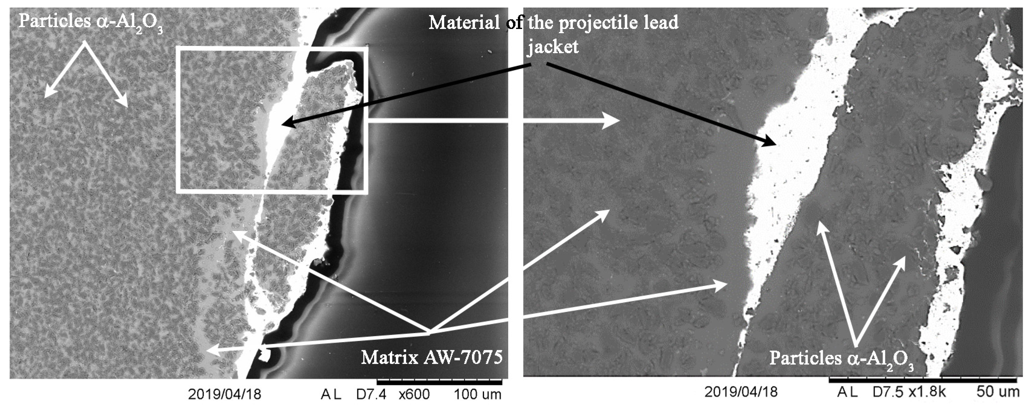 Materials 13 00769 g014