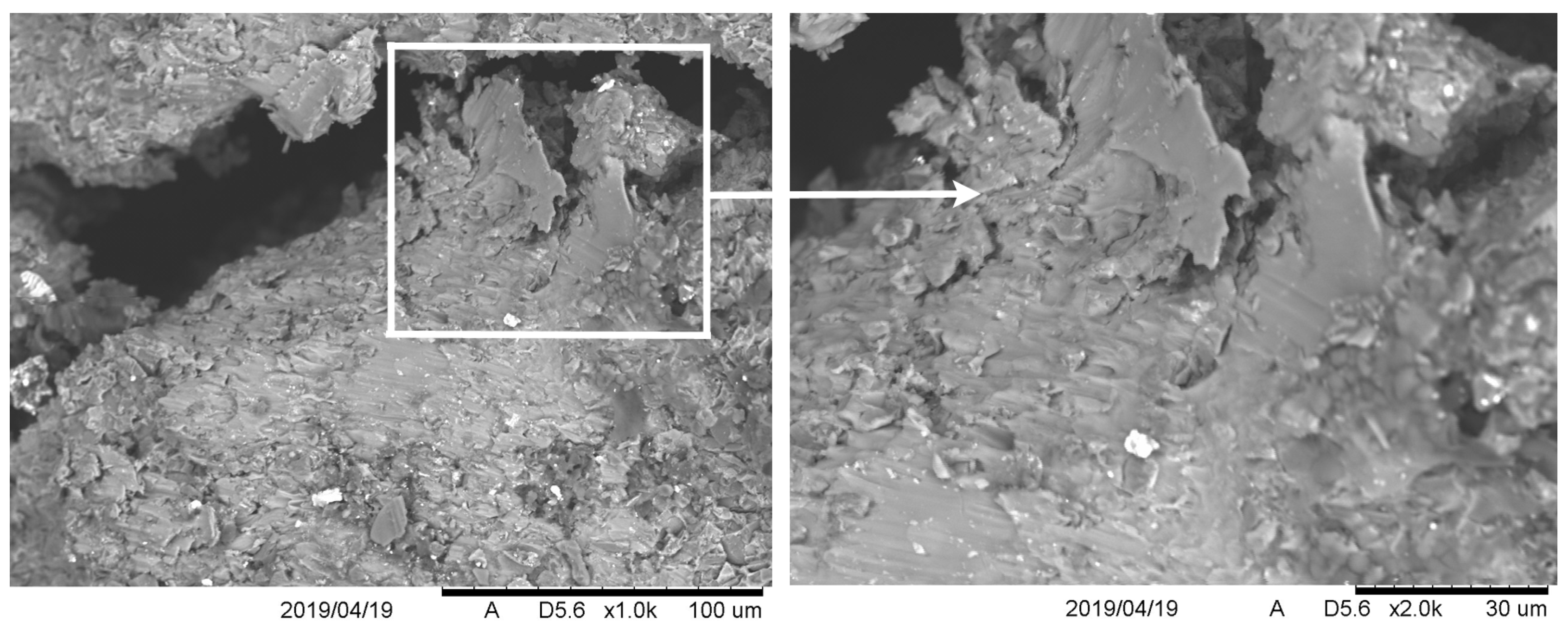 Materials 13 00769 g015