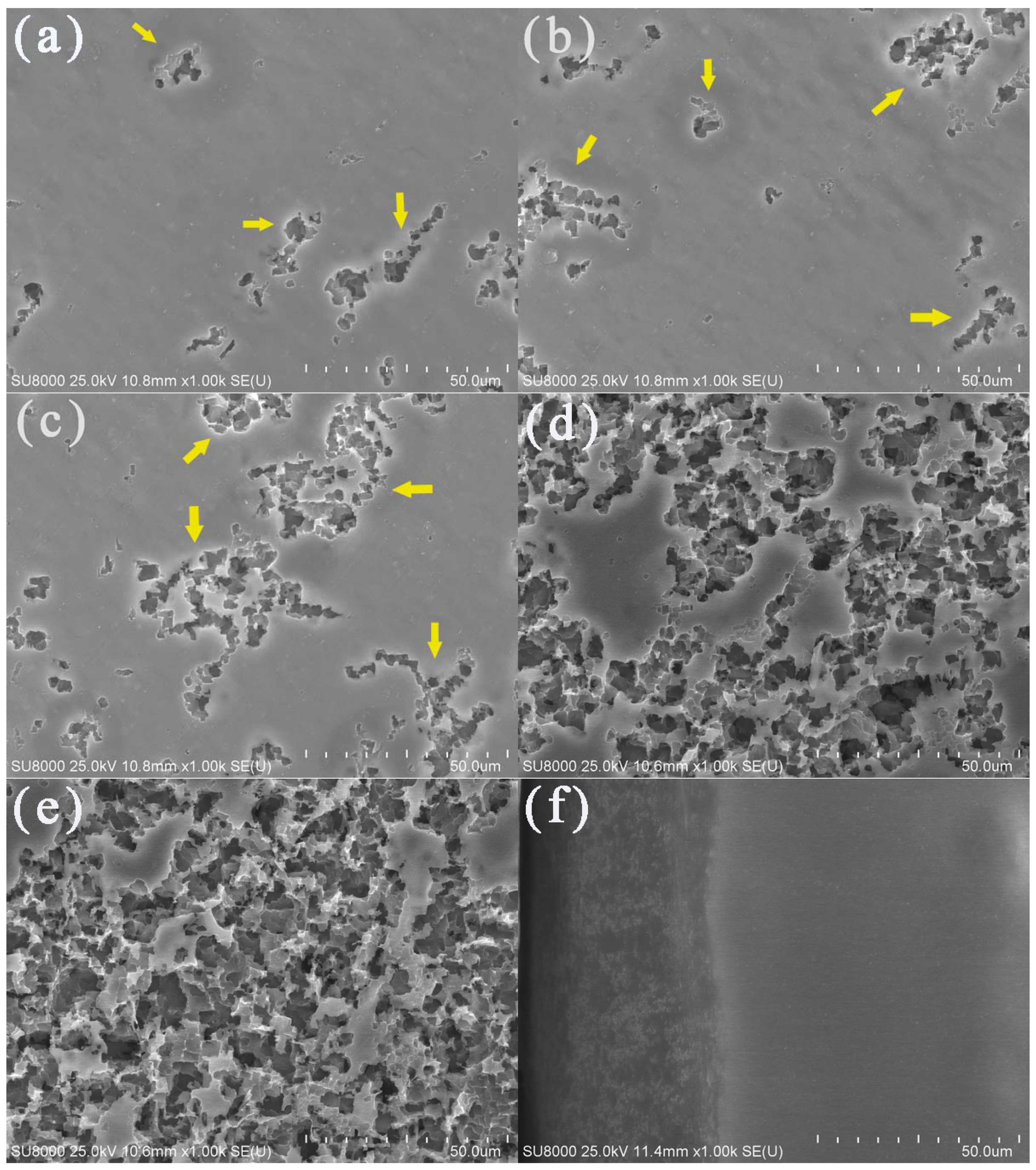 Materials 13 00779 g004