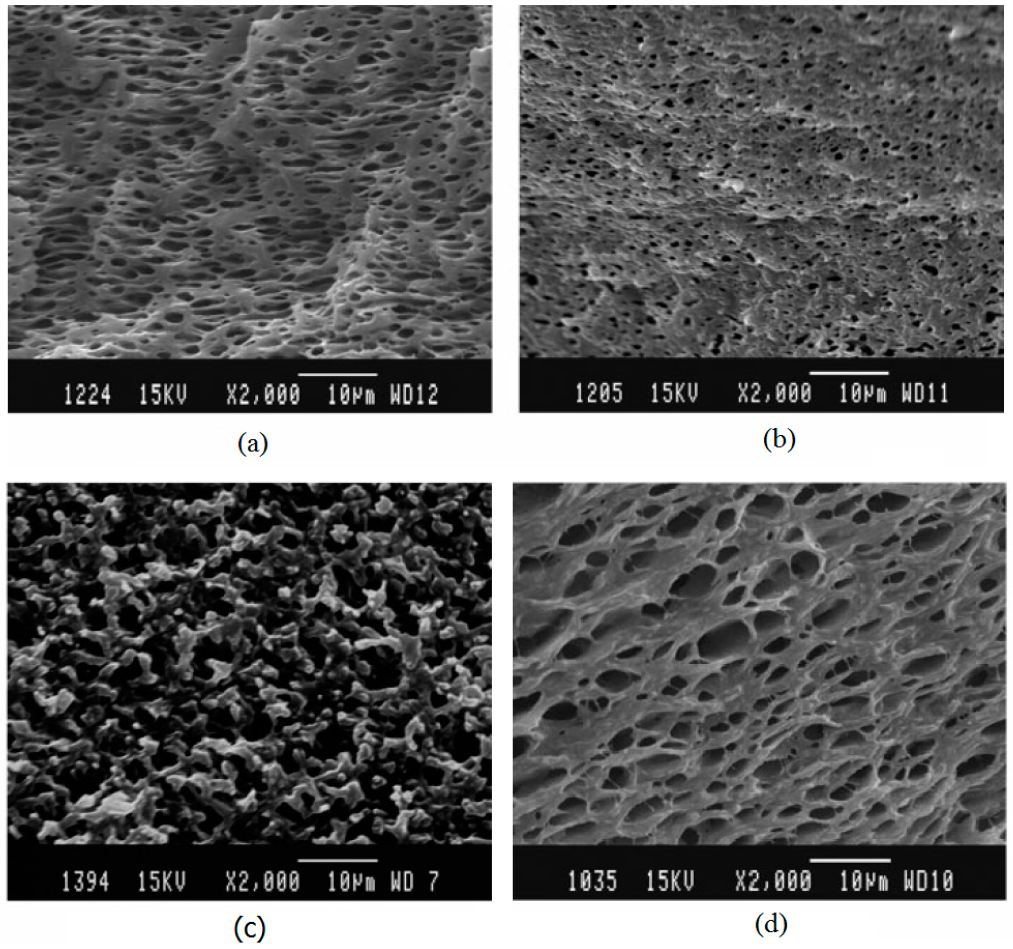 Materials 13 00782 g025