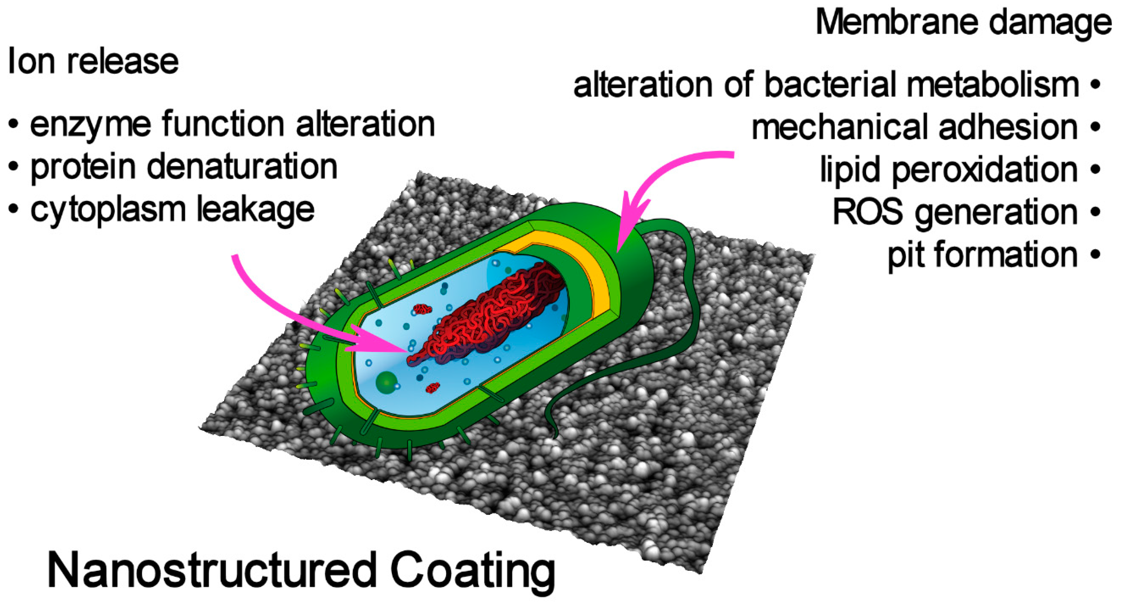 Materials 13 00784 g001