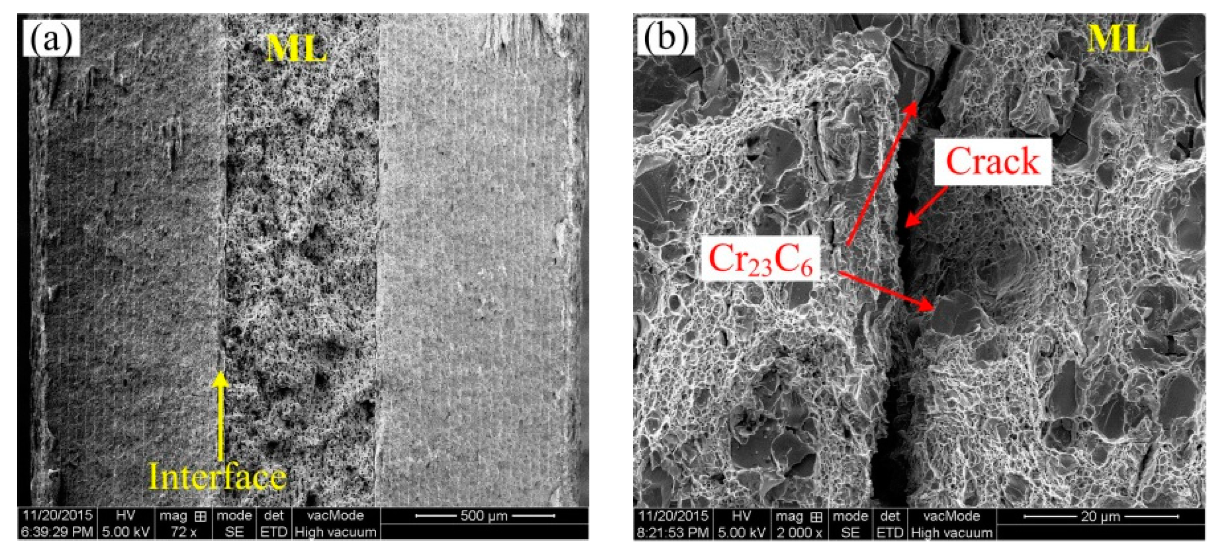 Materials 13 00789 g005a Materials 13 00789 g005a
