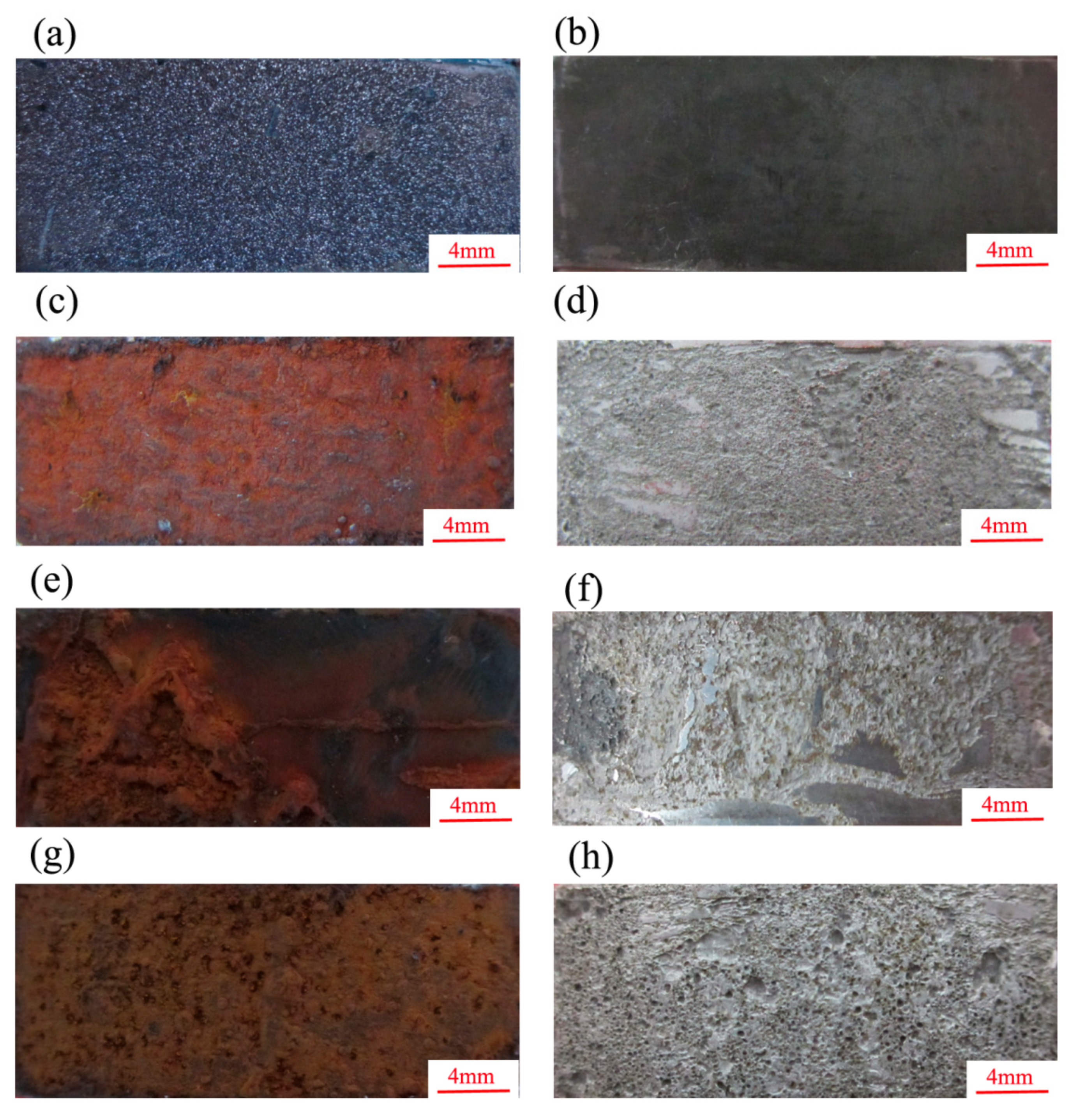 Materials 13 00791 g005