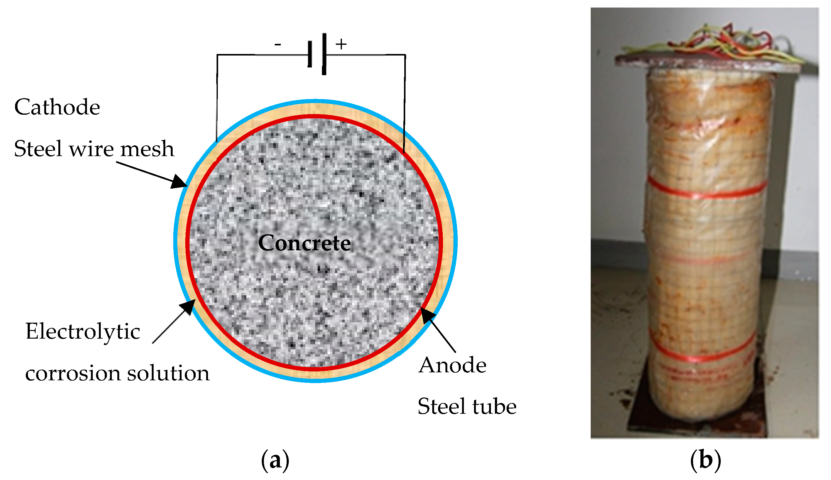 Materials 13 00795 g002