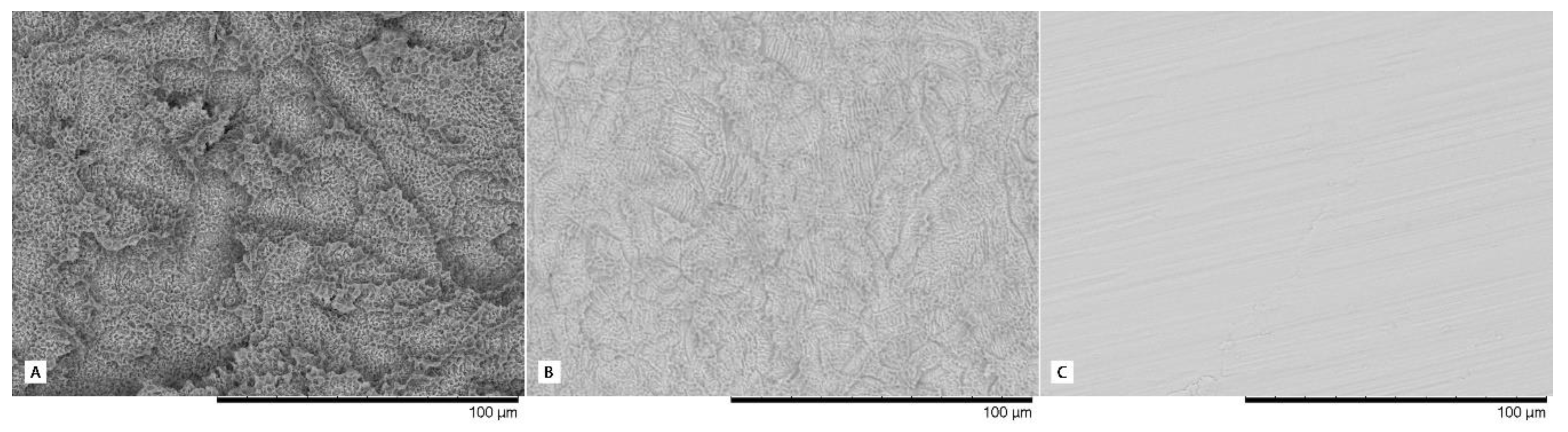 Materials 13 00802 g002