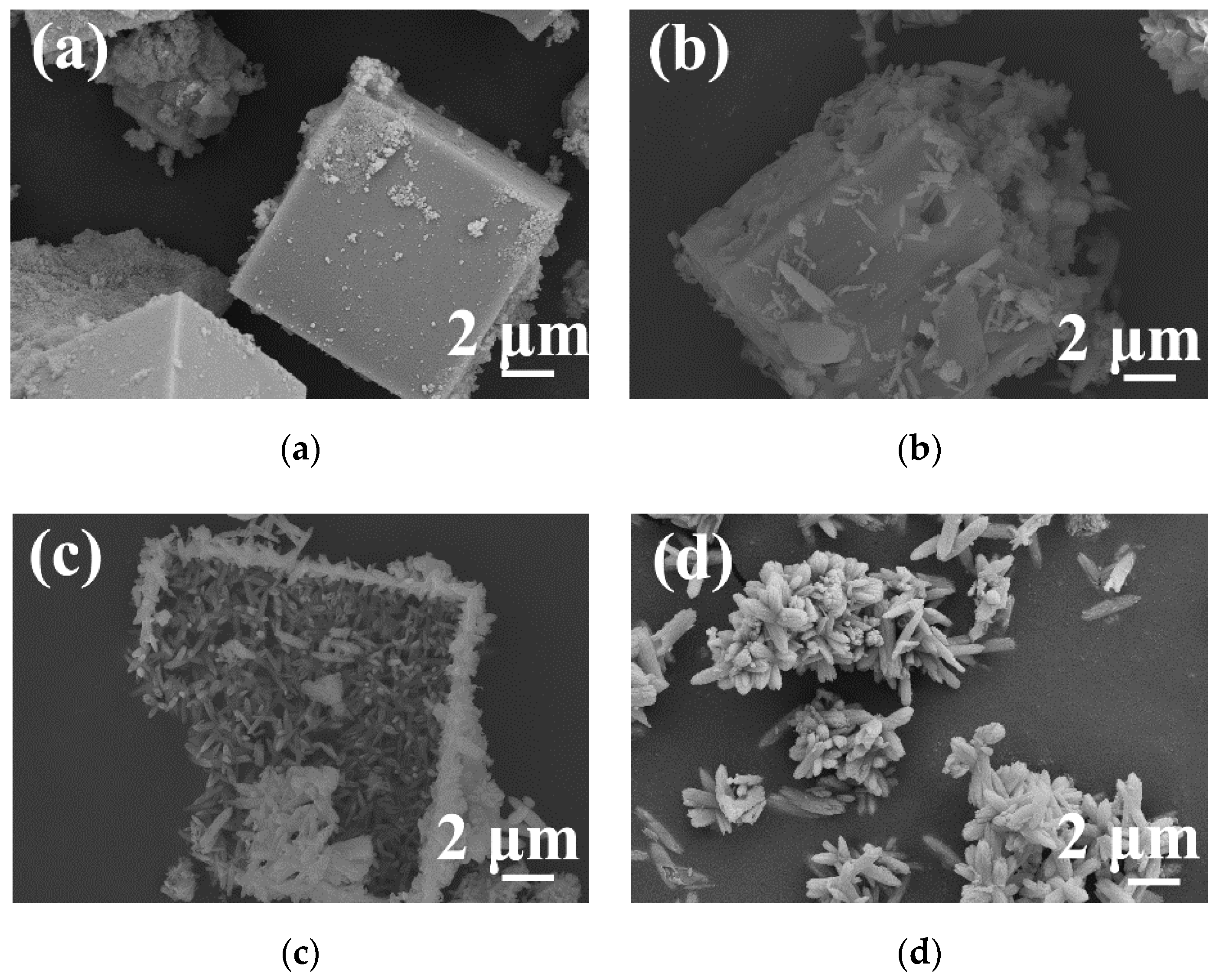 Materials 13 00805 g003