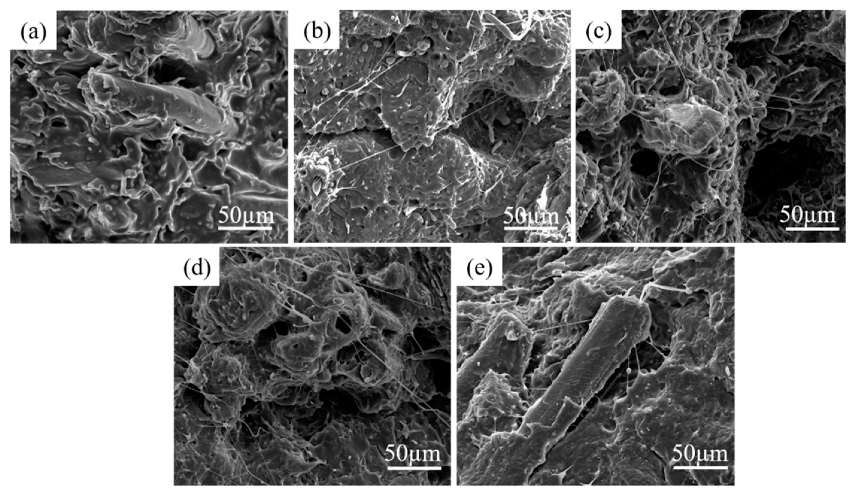 Materials 13 00806 g006