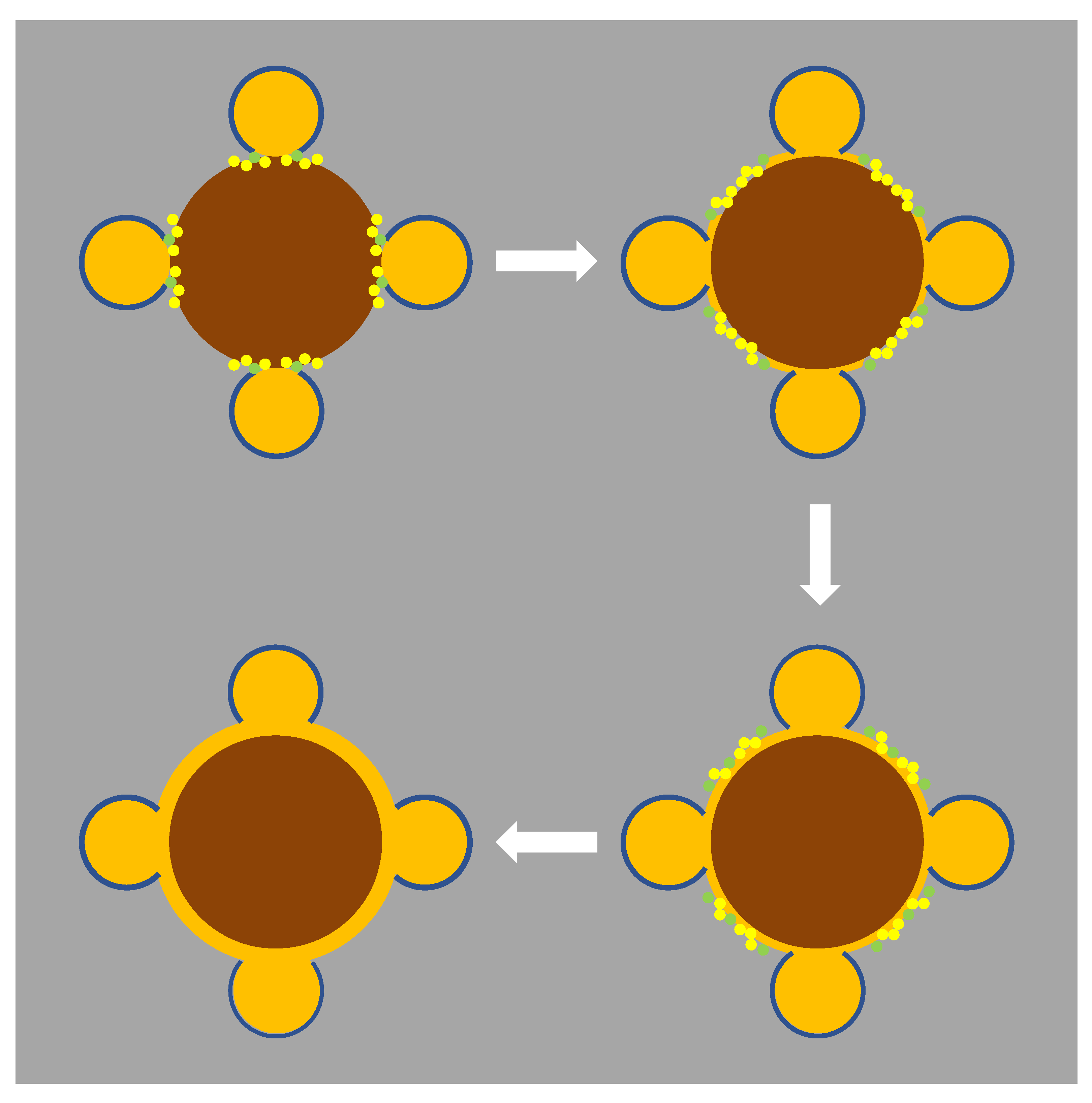 Materials 13 00815 g005