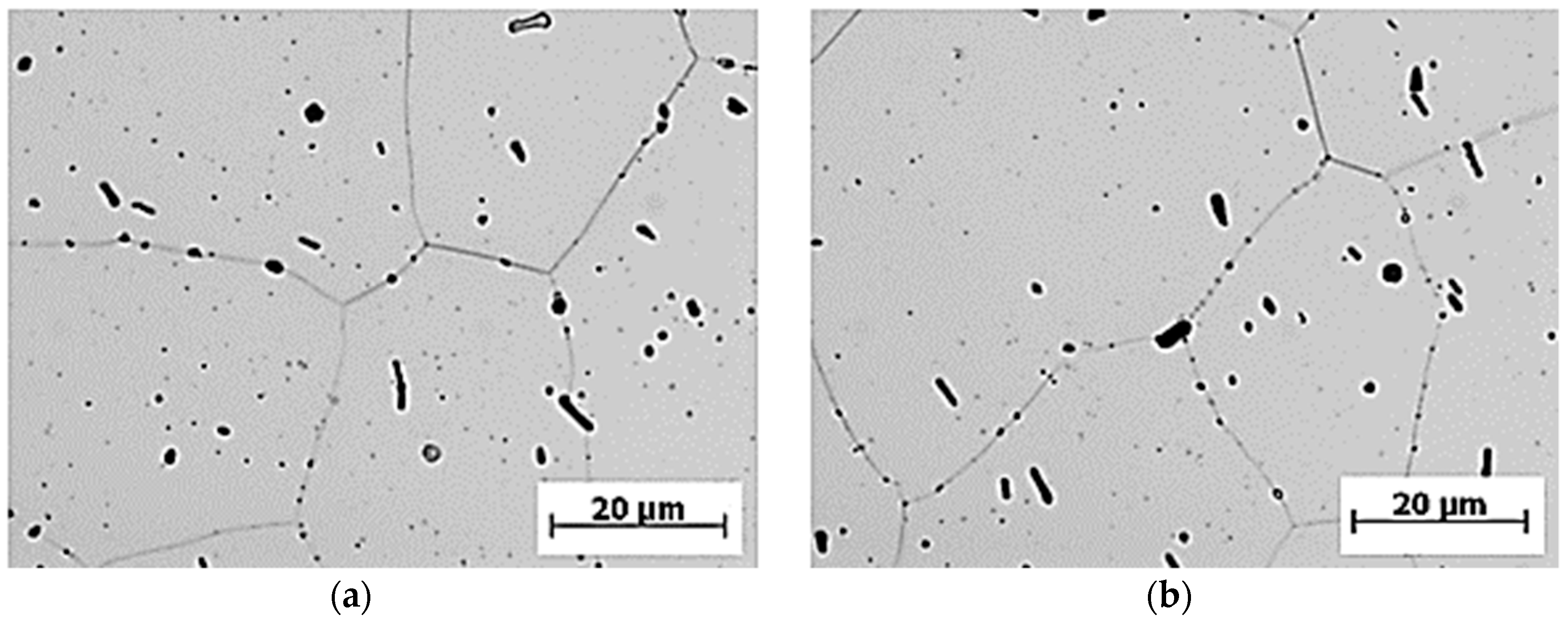 Materials 13 00817 g003