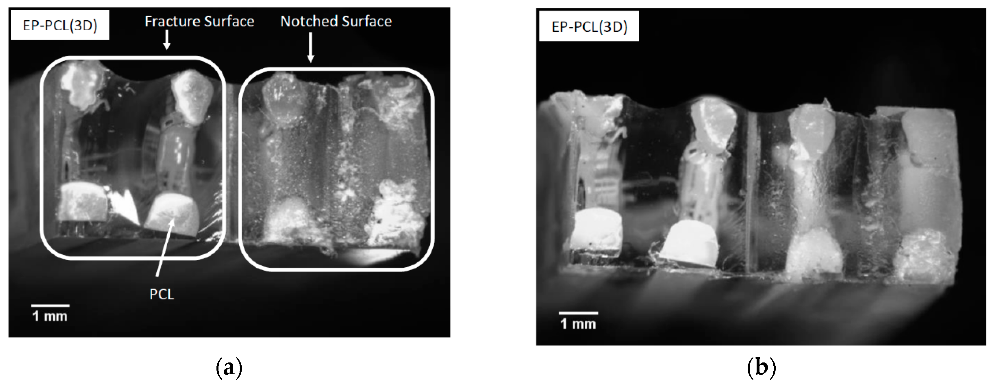 Materials 13 00819 g008