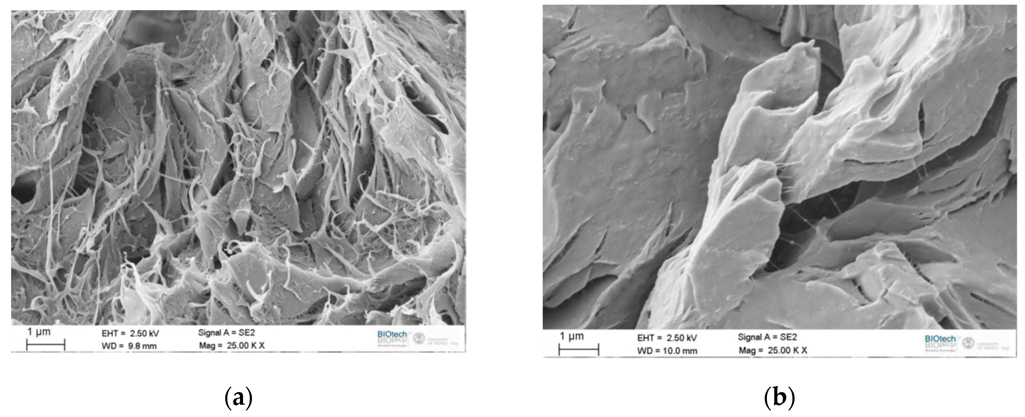 Materials 13 00819 g009