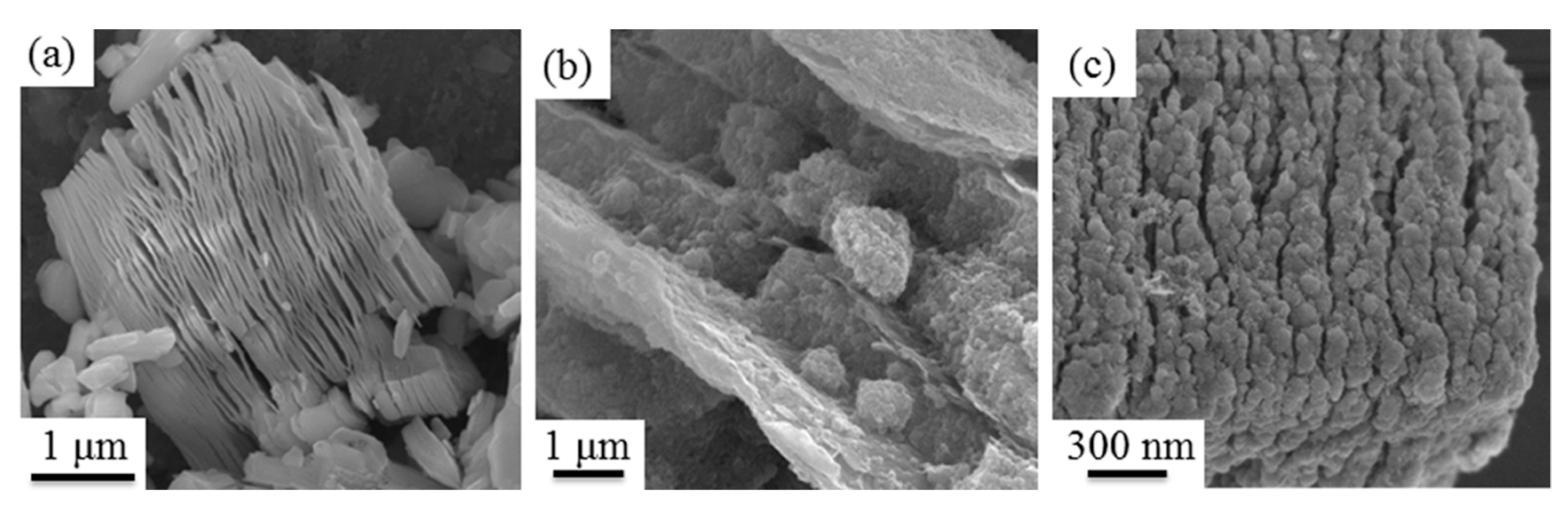 Materials 13 00820 g002 Materials 13 00820 g002