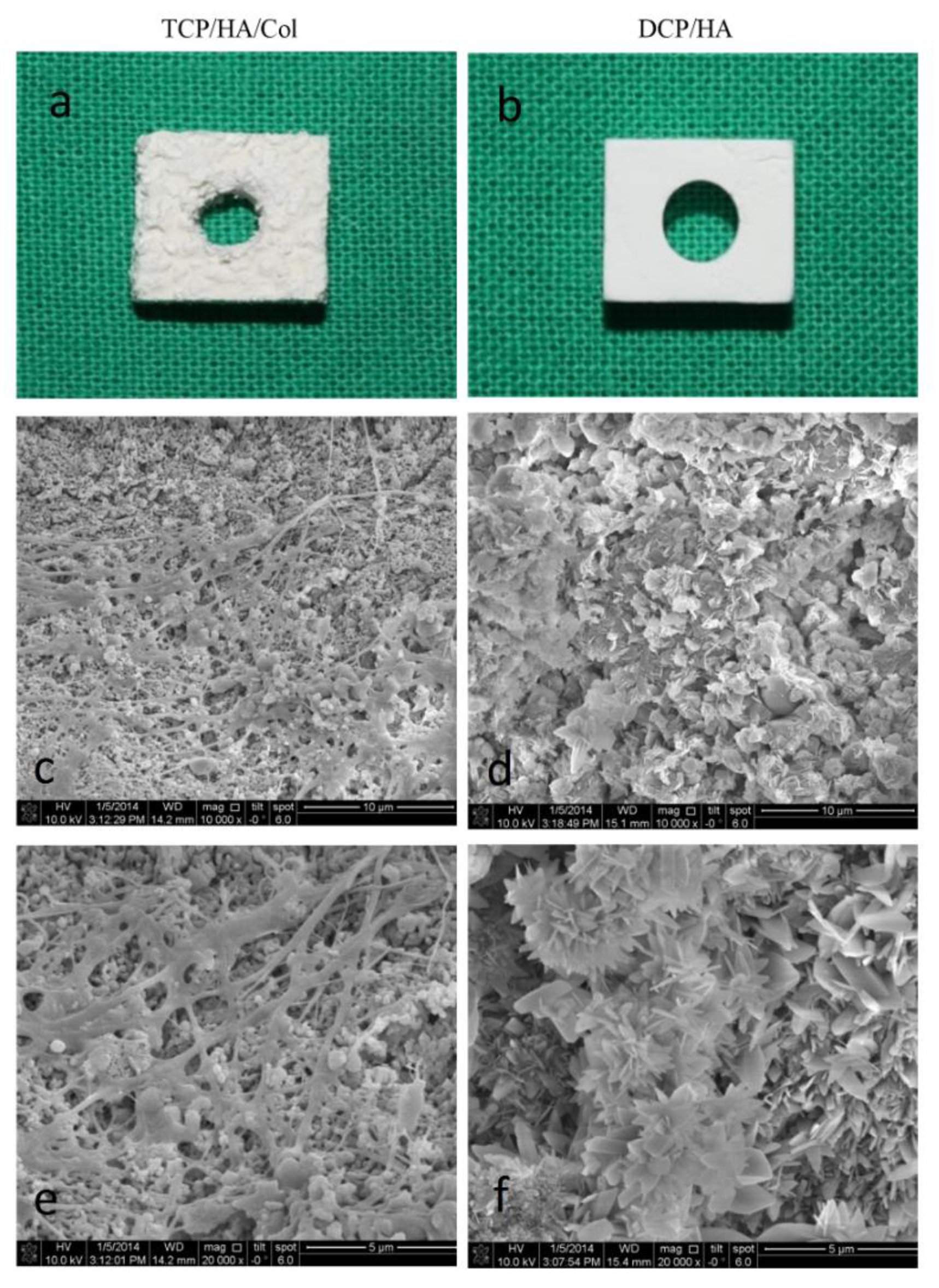 Materials 13 00823 g001 Materials 13 00823 g001