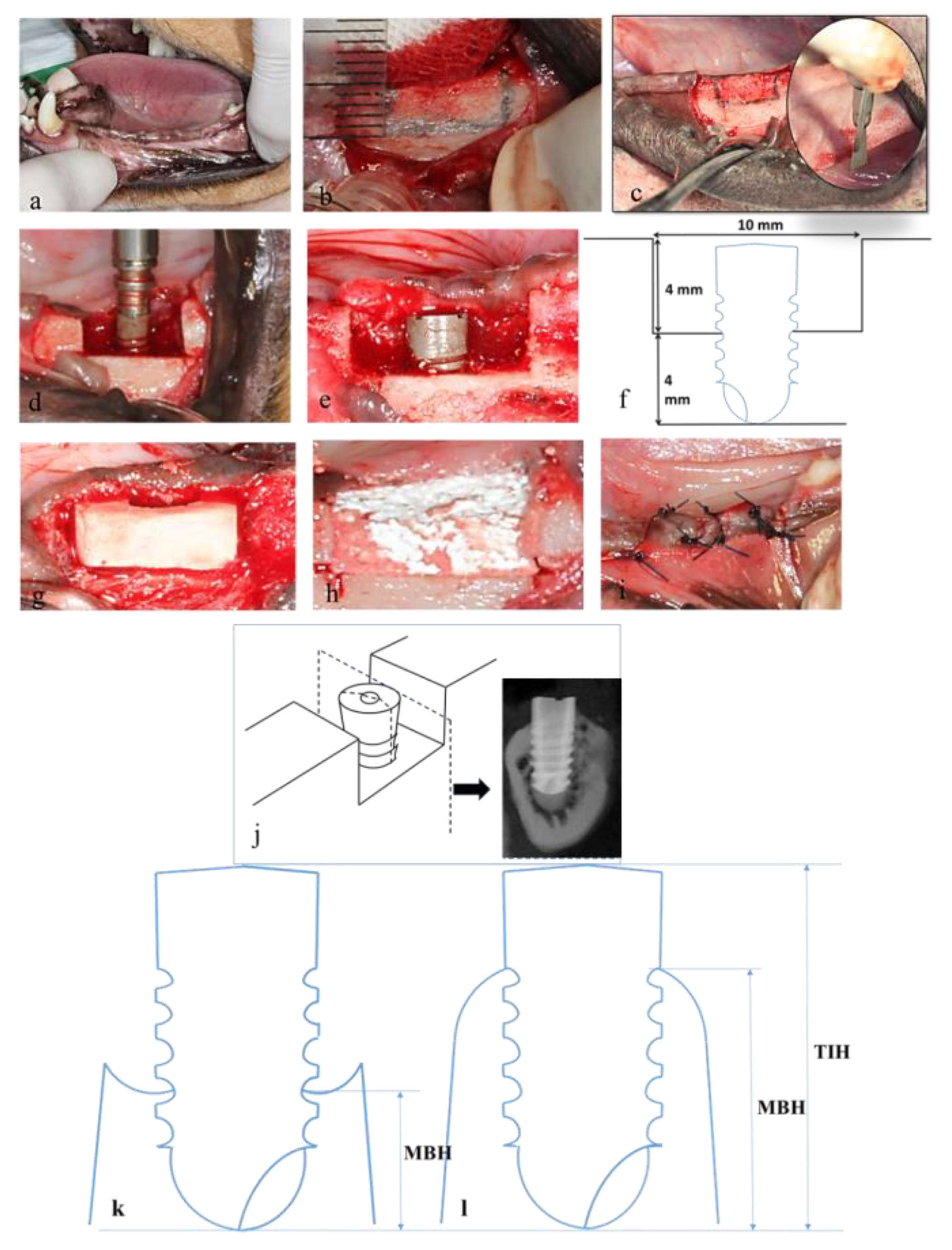 Materials 13 00823 g002 Materials 13 00823 g002