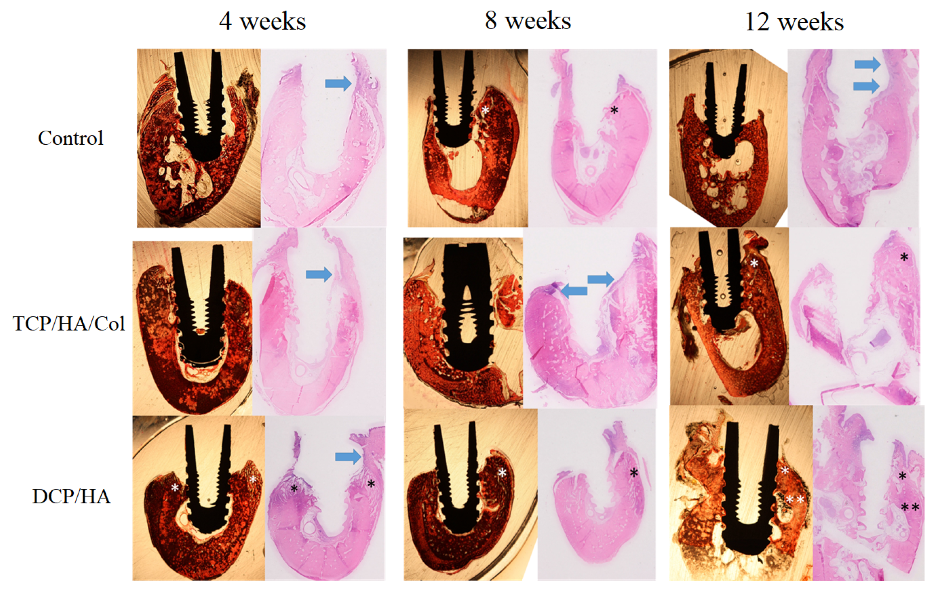 Materials 13 00823 g004 Materials 13 00823 g004