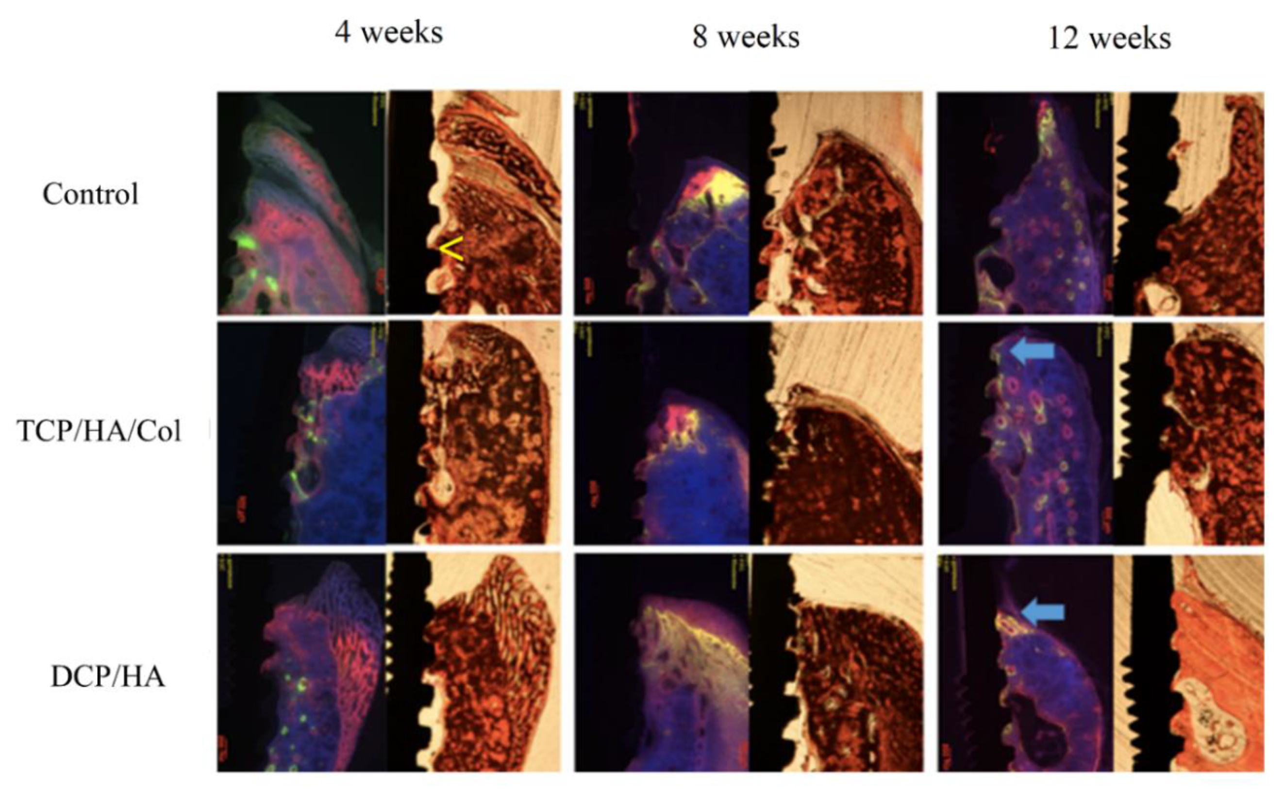 Materials 13 00823 g005 Materials 13 00823 g005