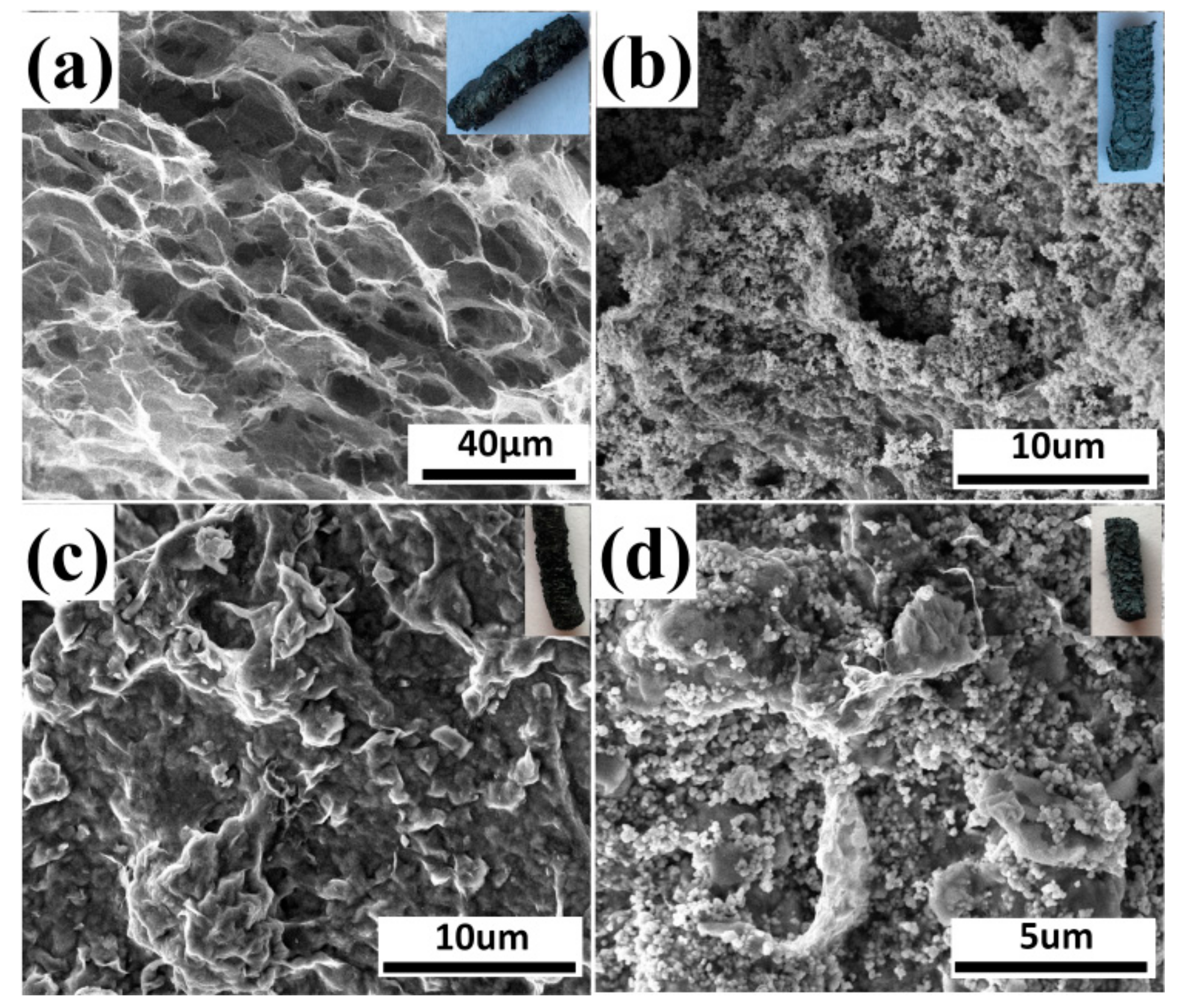 Materials 13 00824 g005