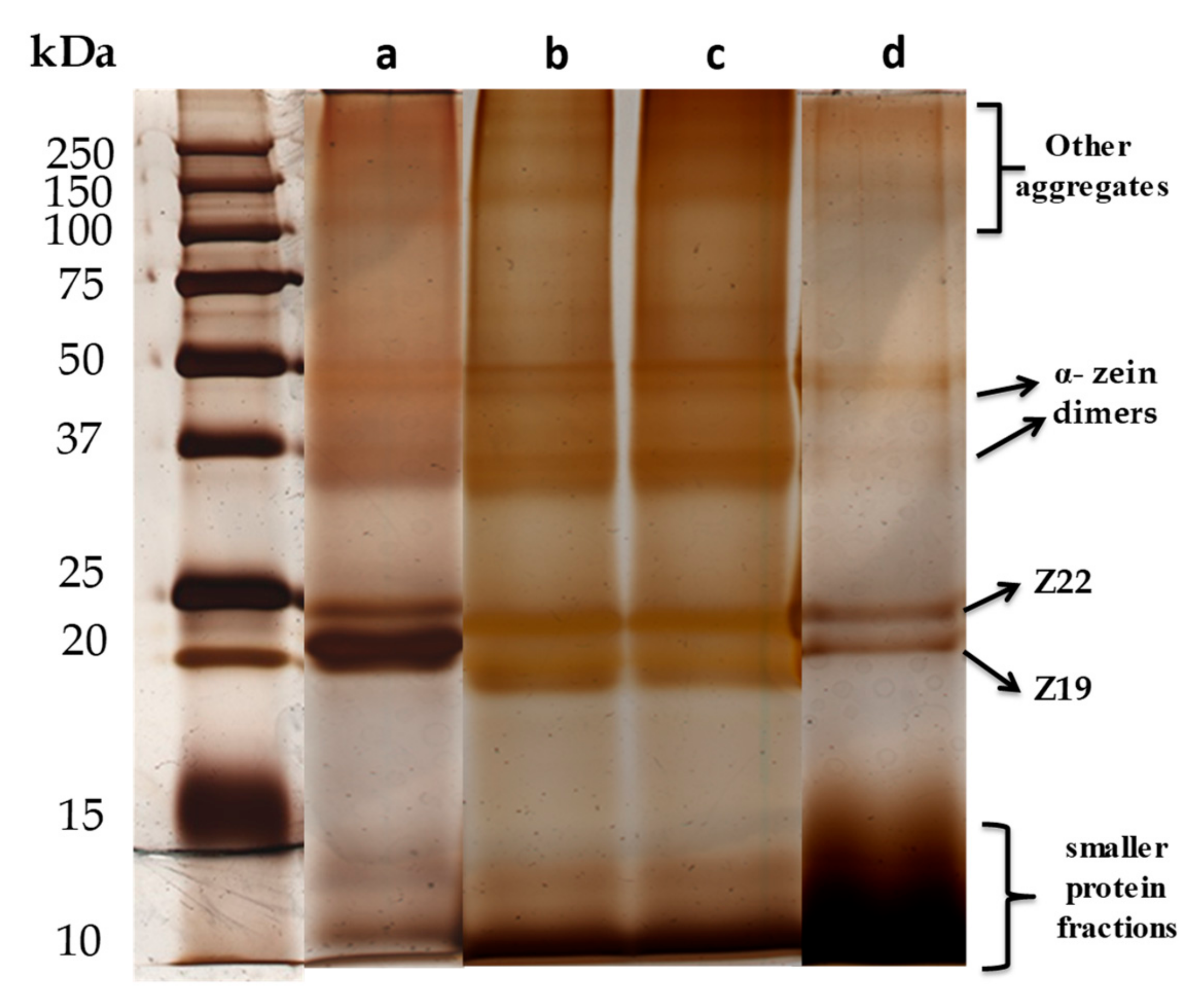 Materials 13 00825 g003
