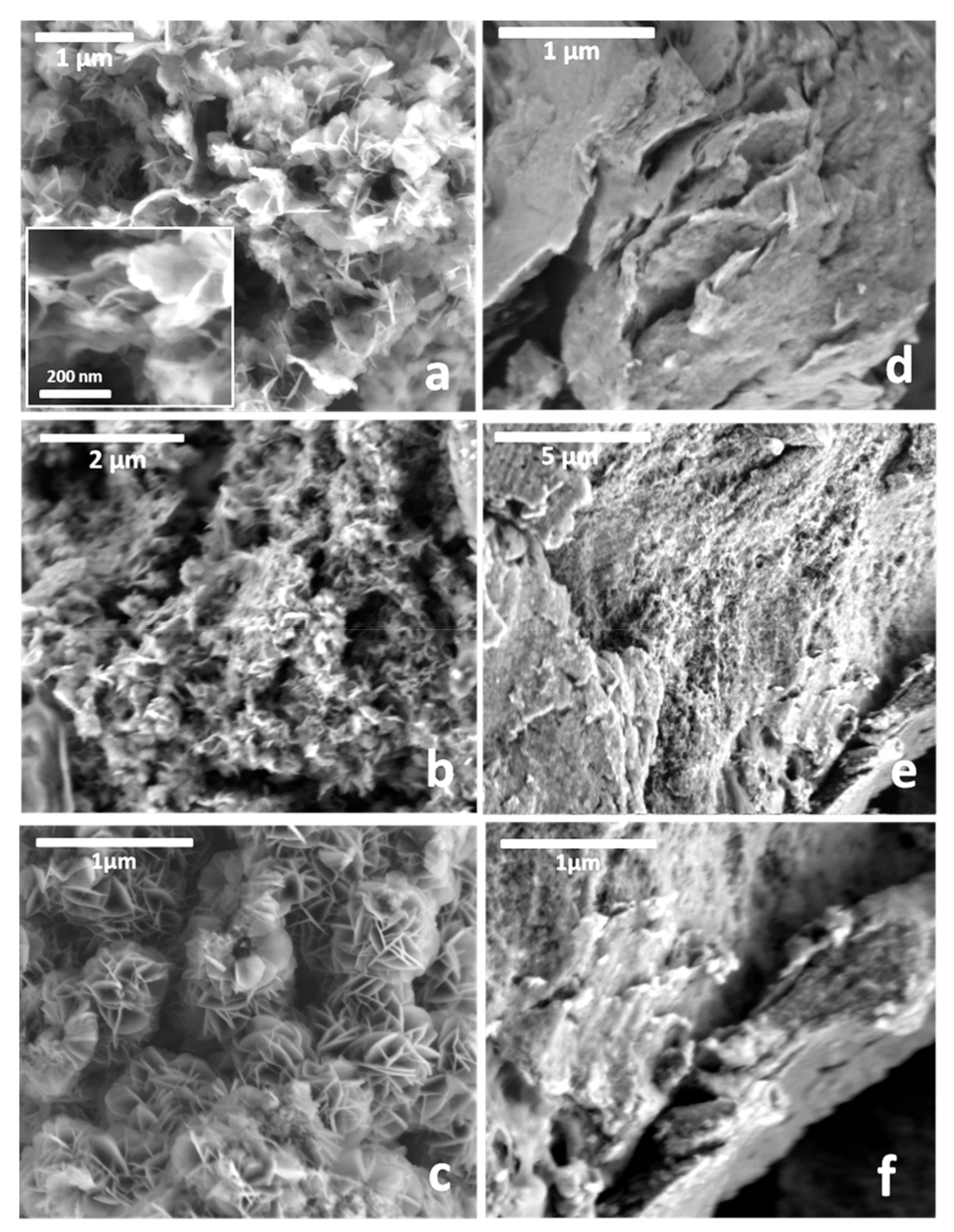 Materials 13 00825 g007