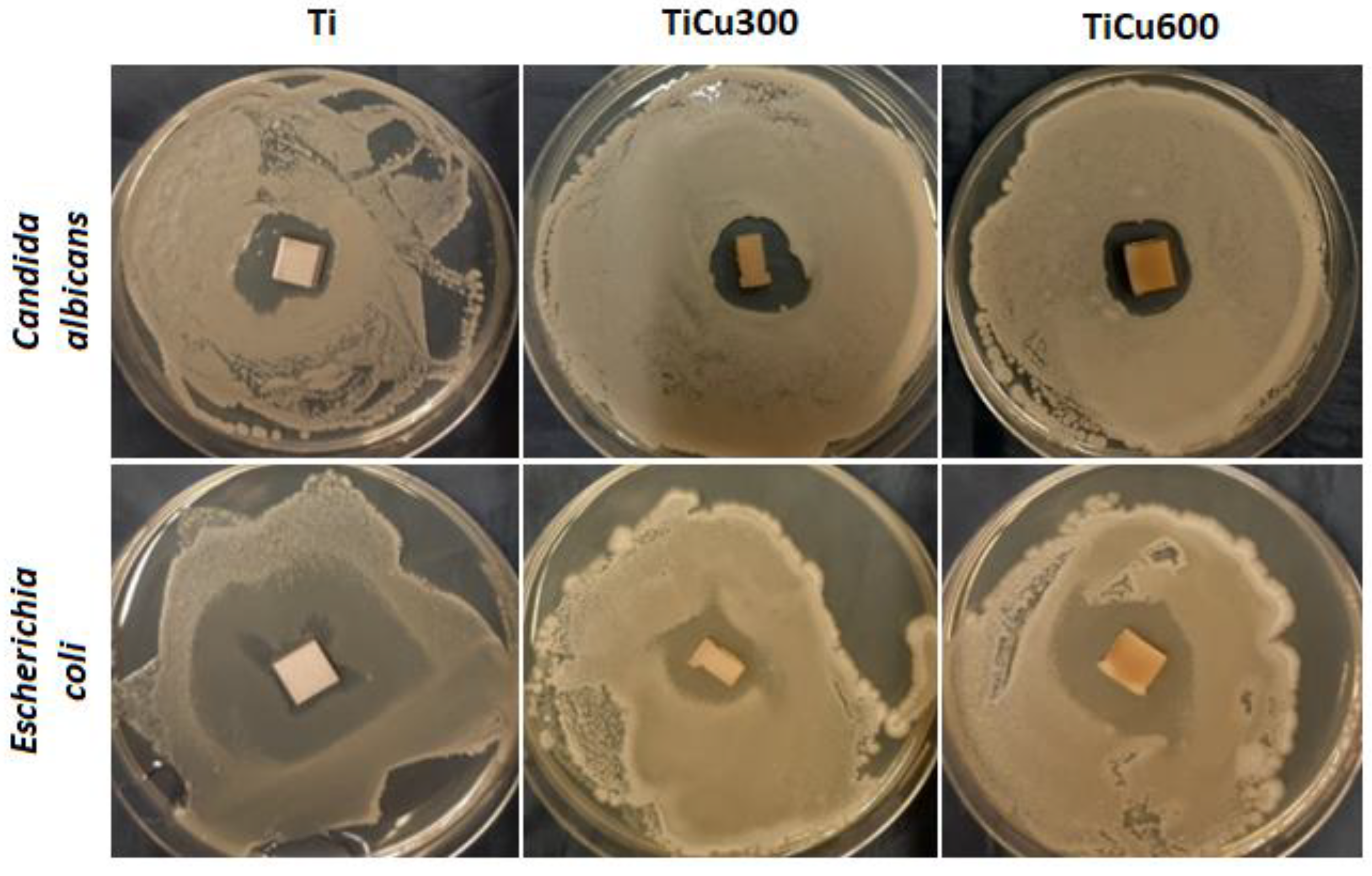 Materials 13 00828 g009