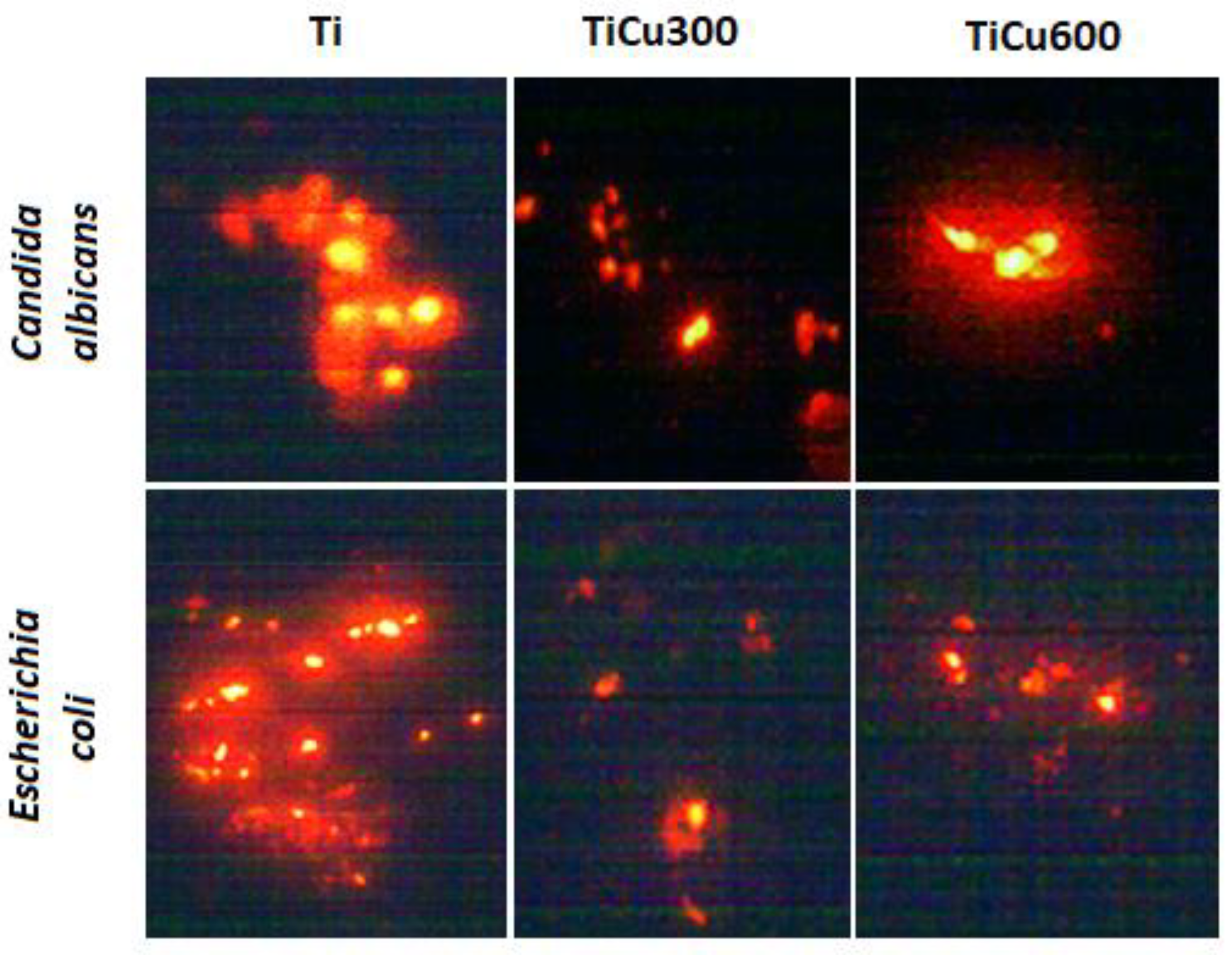 Materials 13 00828 g010