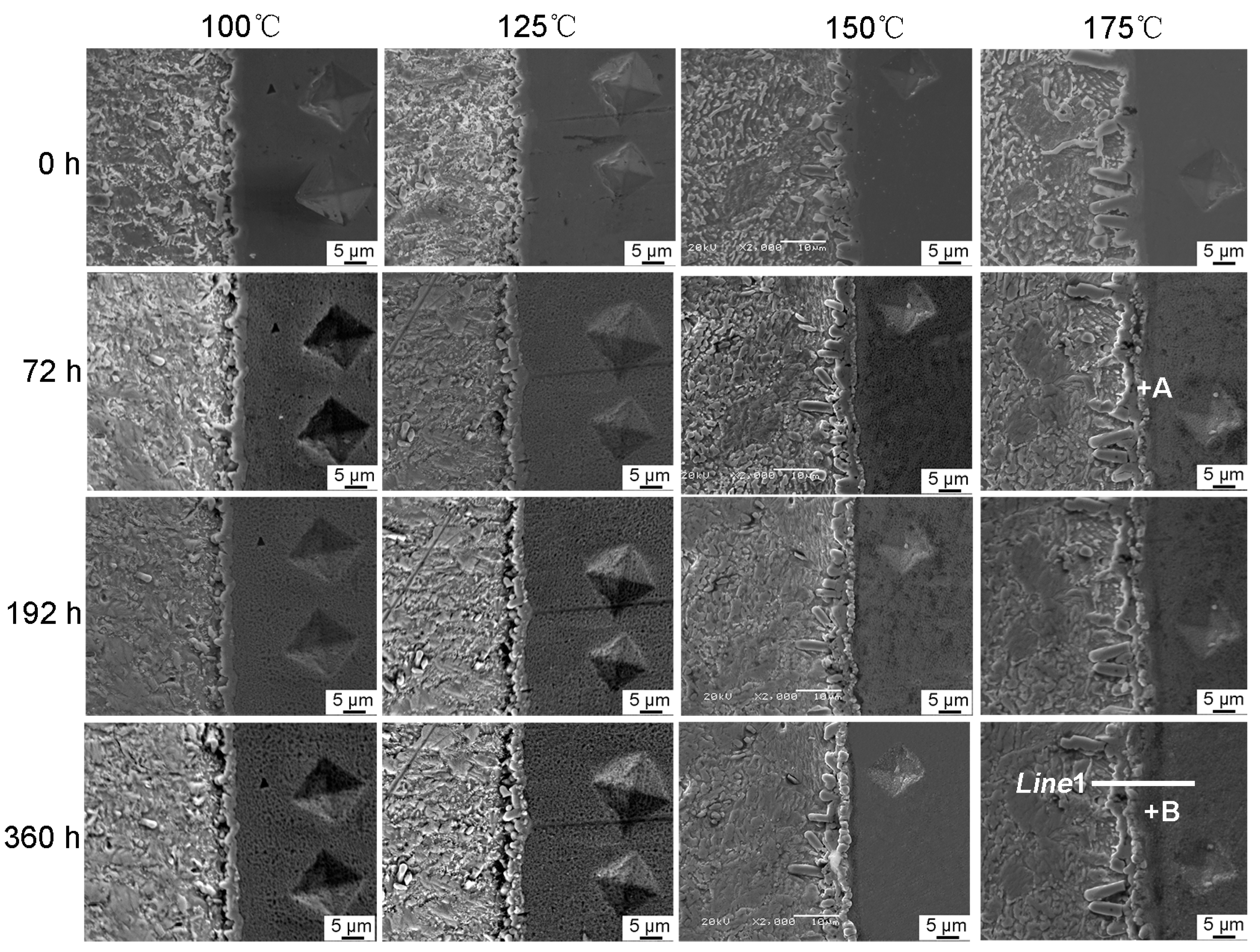 Materials 13 00831 g002 Materials 13 00831 g002